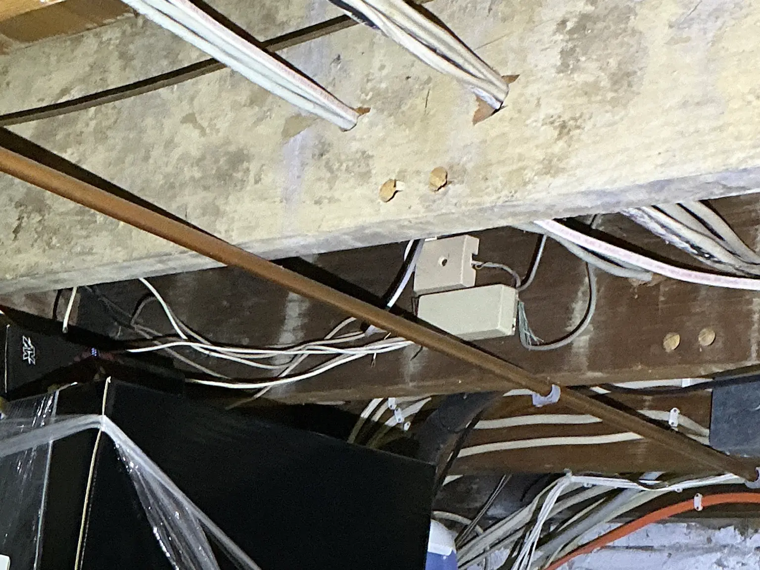 Look at what our mold inspector found in Highland Heights..