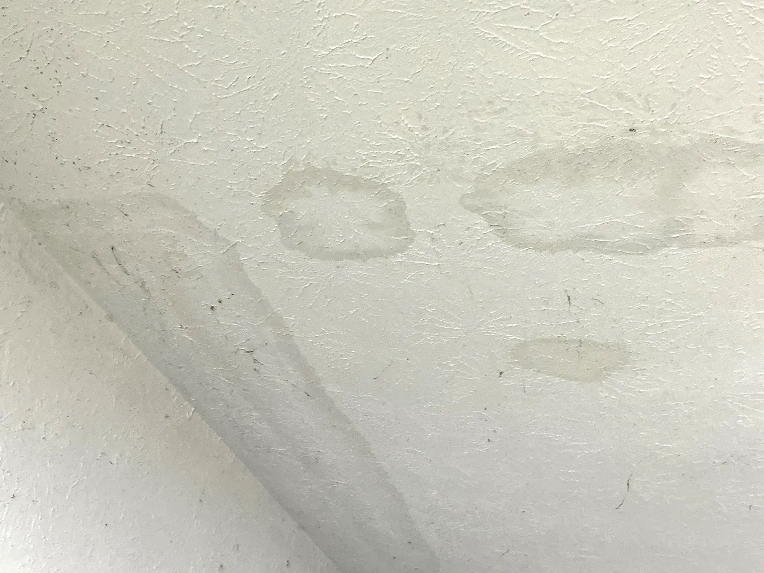Mold found during a home inspection in Highland Heights.