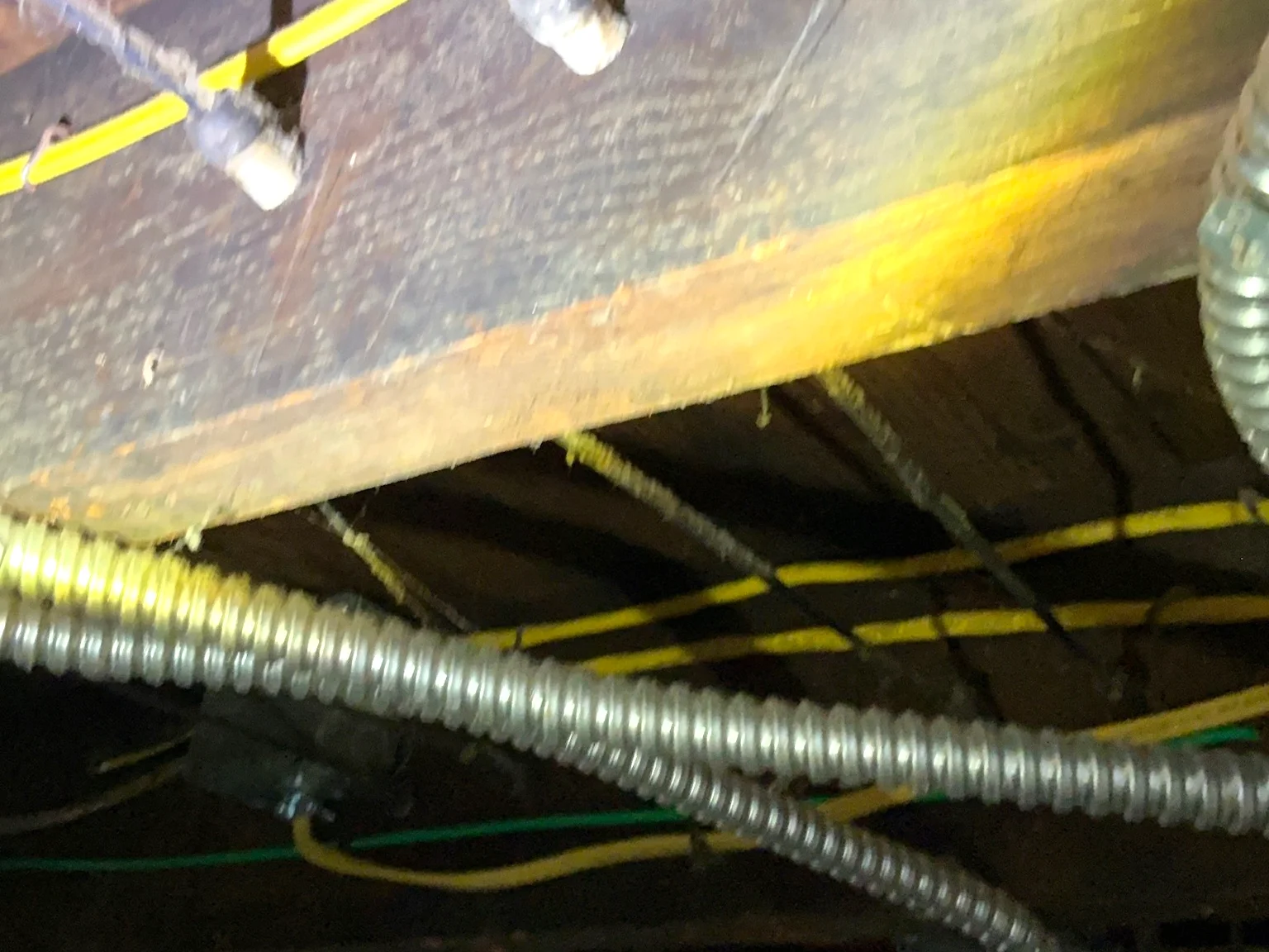 Mold inspection in Howland Center.