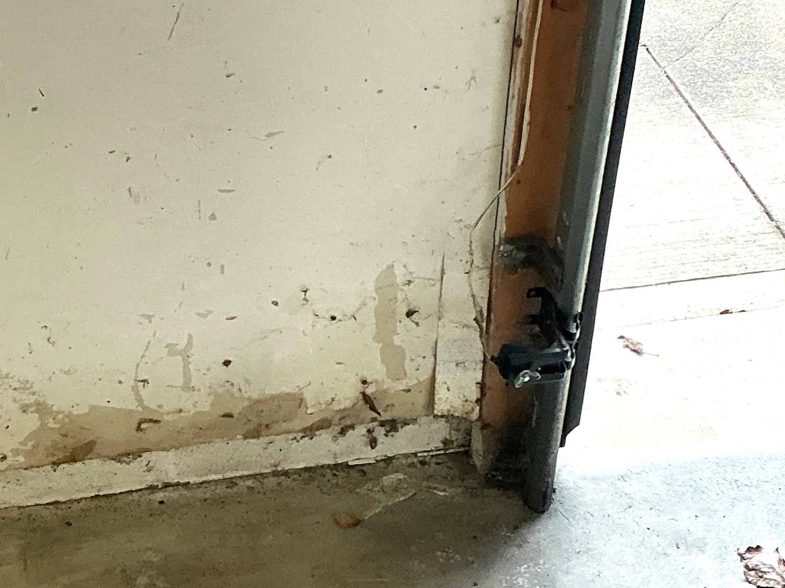 Our mold inspector found this surface mold in Howland Center.