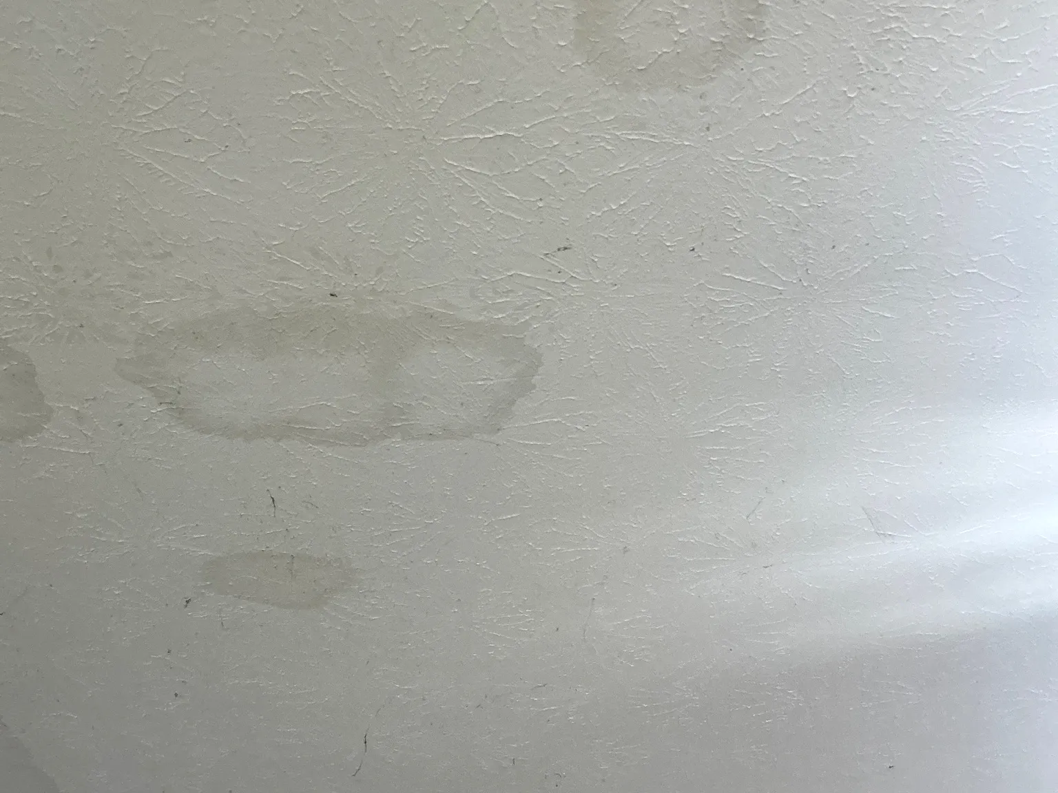 Mold found during a home inspection in Howland Center.