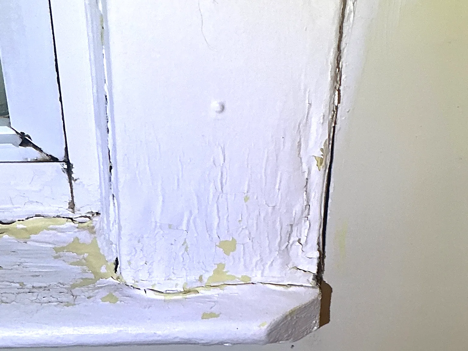 Mold found during a commercial mold inspection in Howland Center.