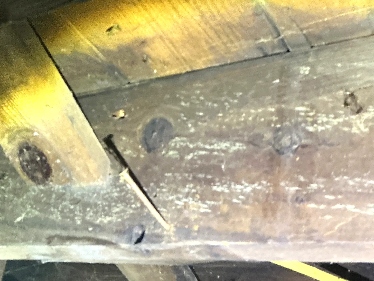 Look at what our mold inspector found in Hubbard..