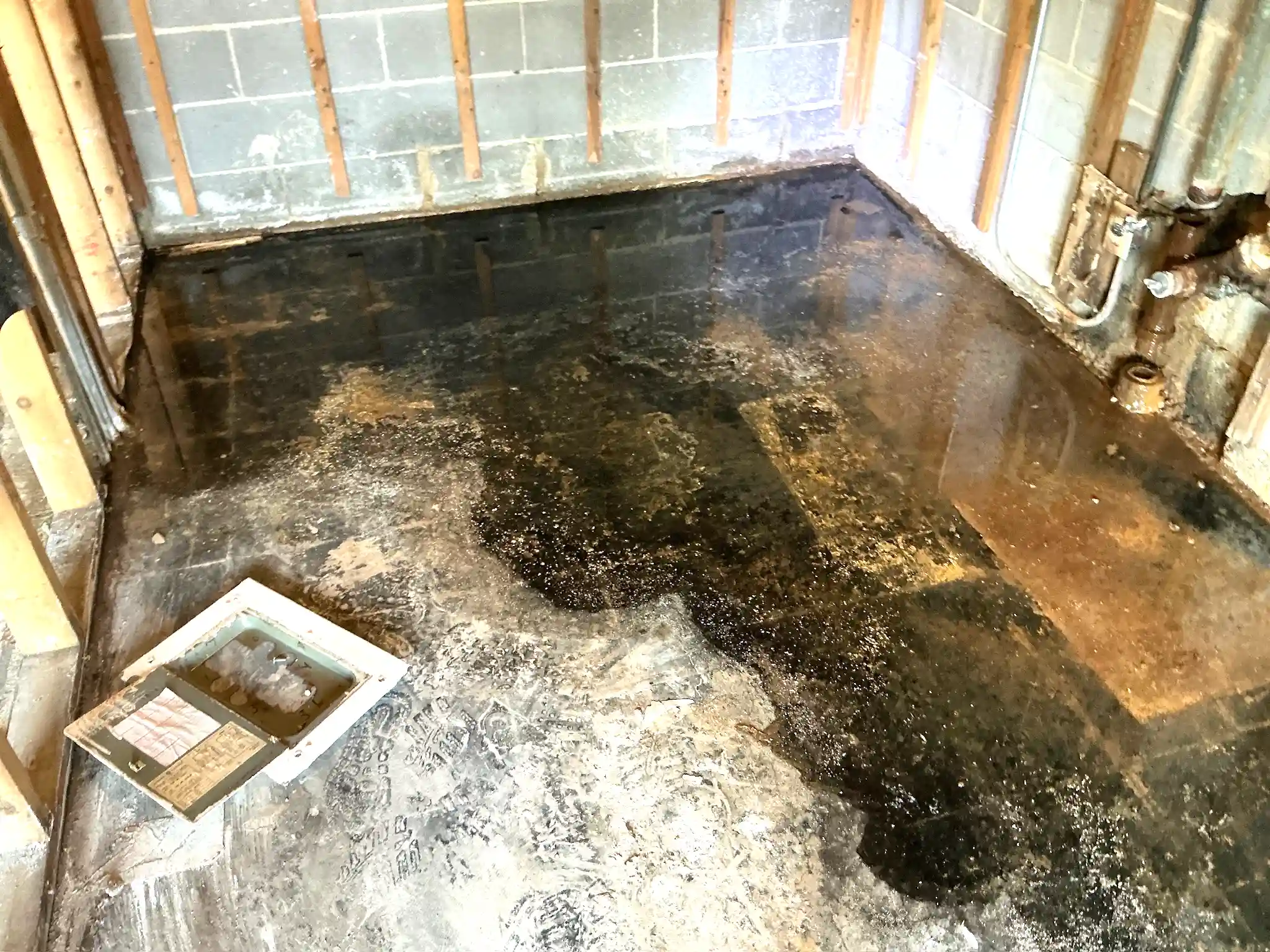 Mold inspection in Hubbard.