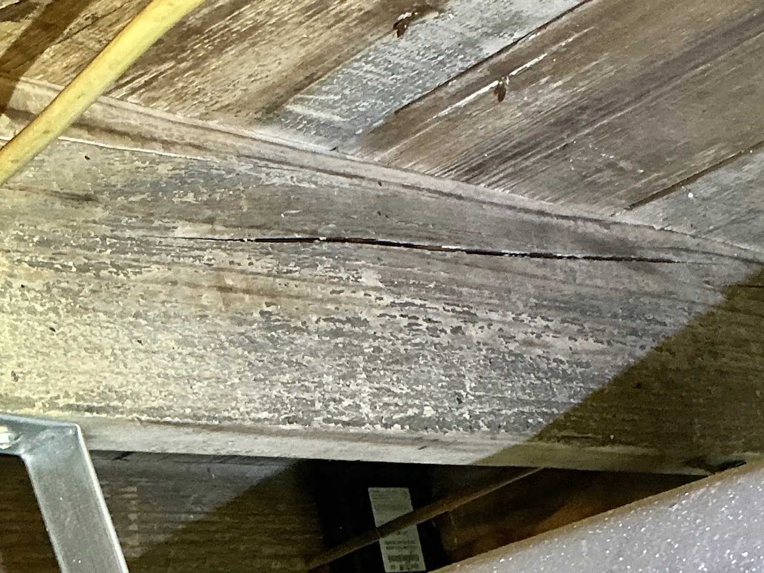Mold found during a commercial mold inspection in Hubbard.