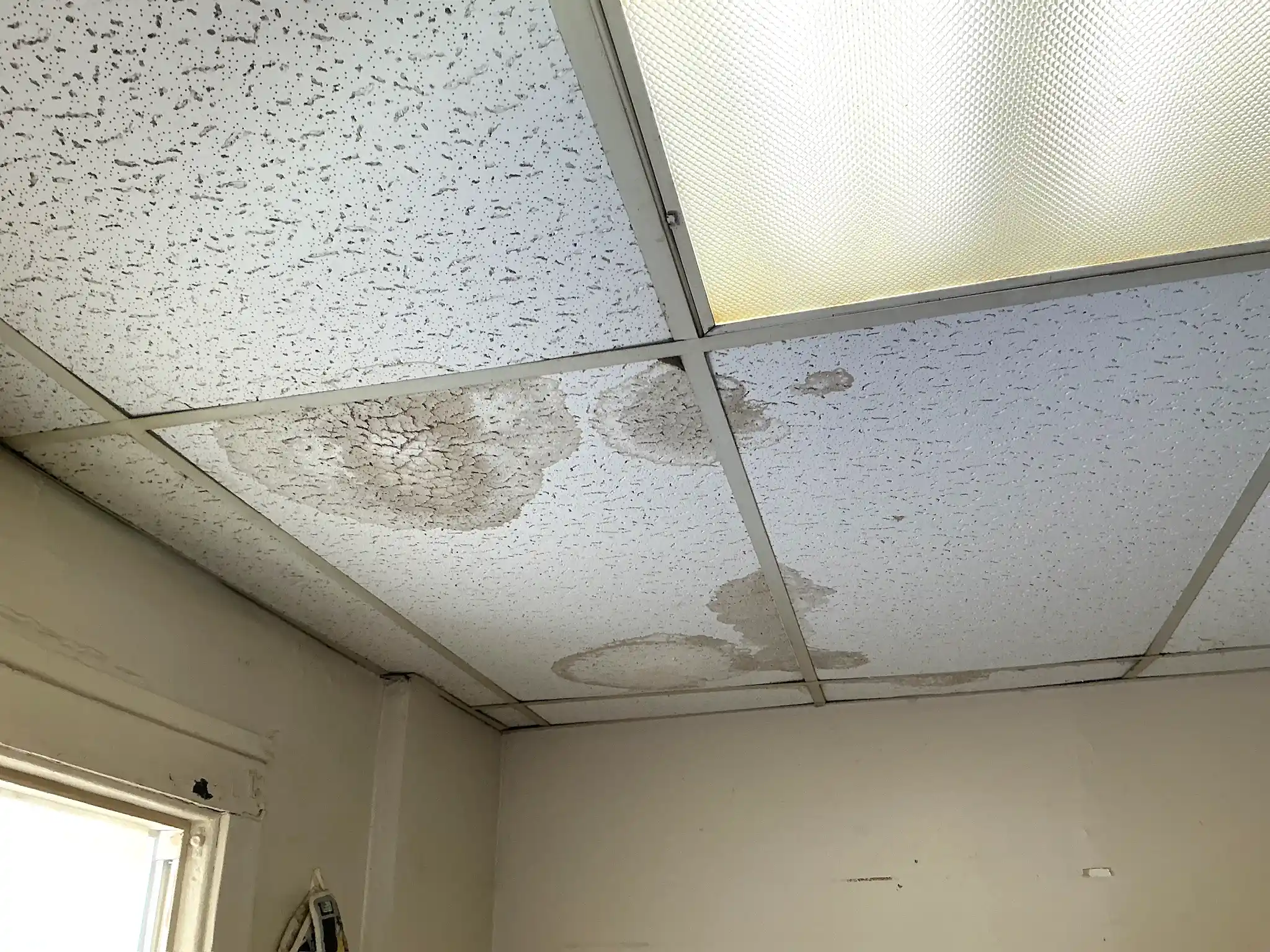 Mold found on a surface during an inspection in Hudson.