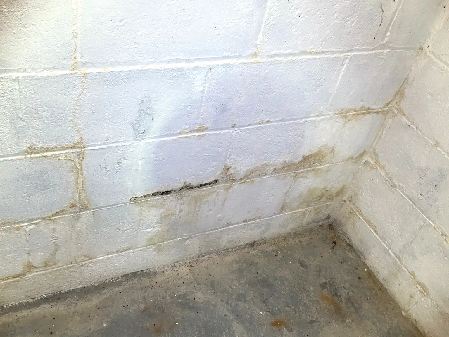 Our mold inspector found this surface mold in Hudson.