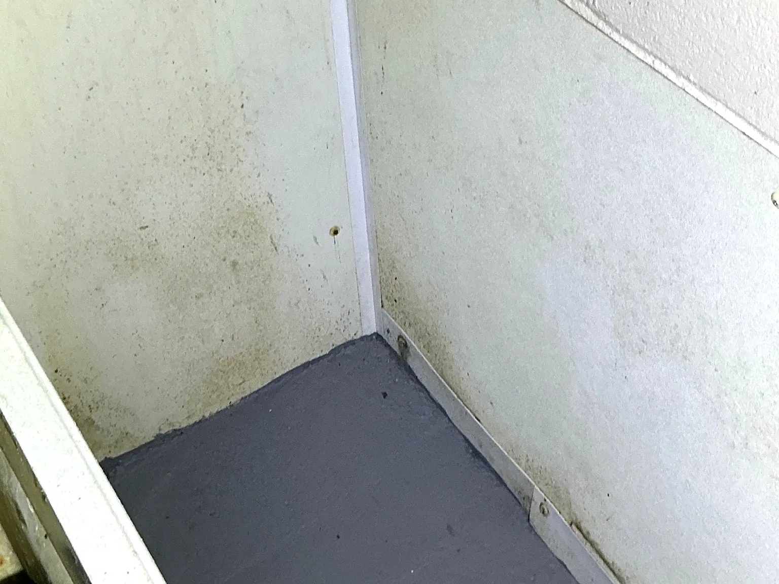 Mold found on a surface during an inspection in Independence.