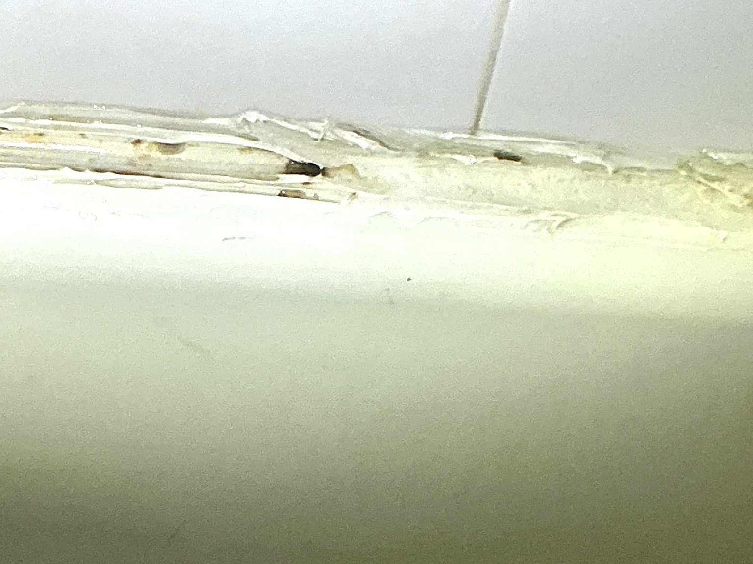 Mold inspection in Independence.