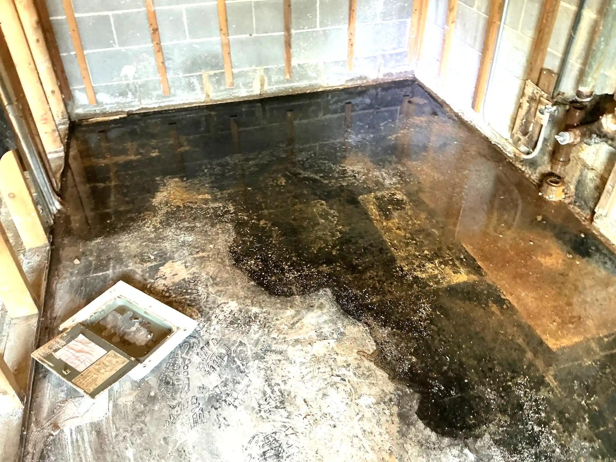 Mold found during a home inspection in Independence.