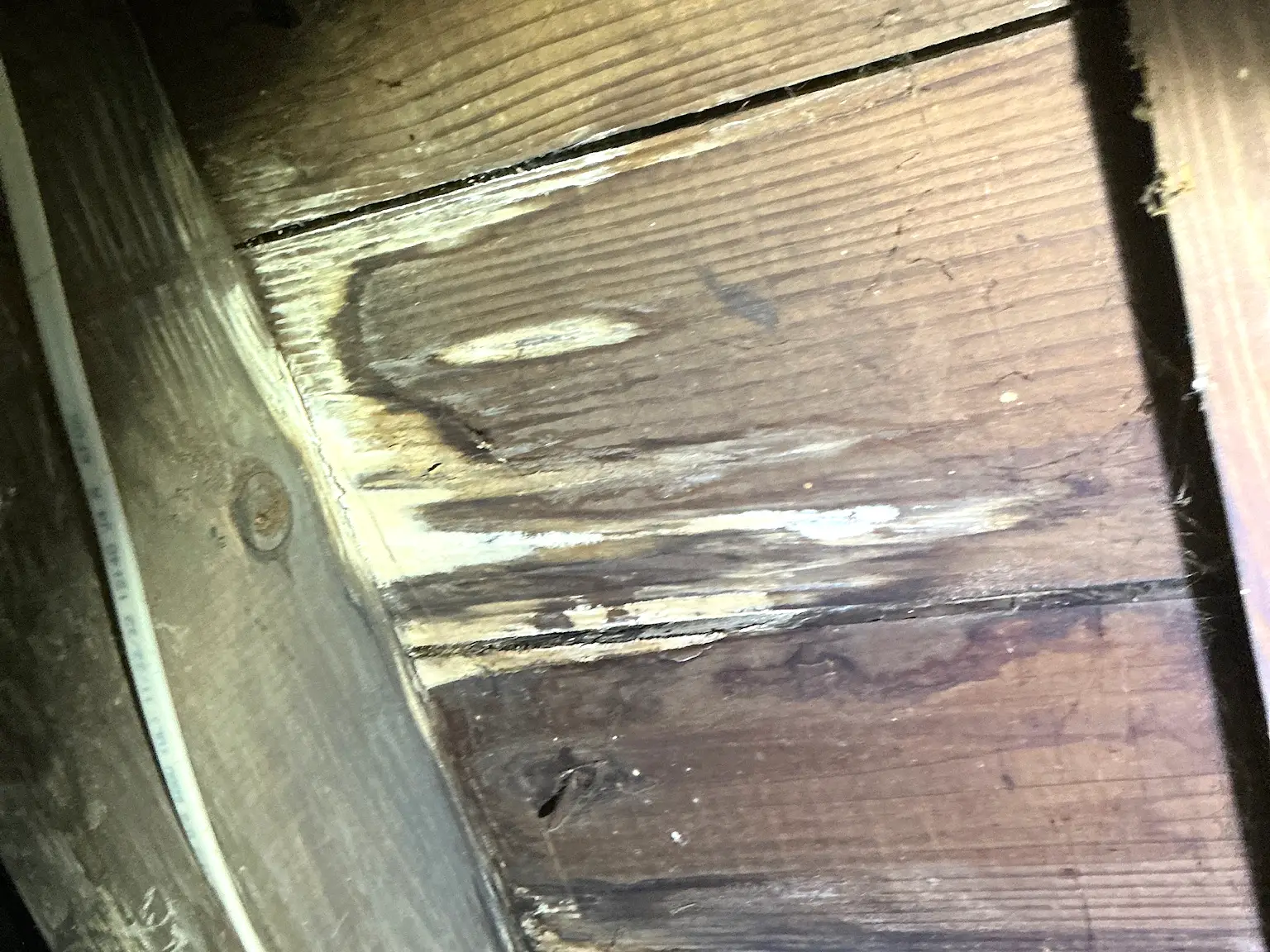 Mold found during a commercial mold inspection in Independence.
