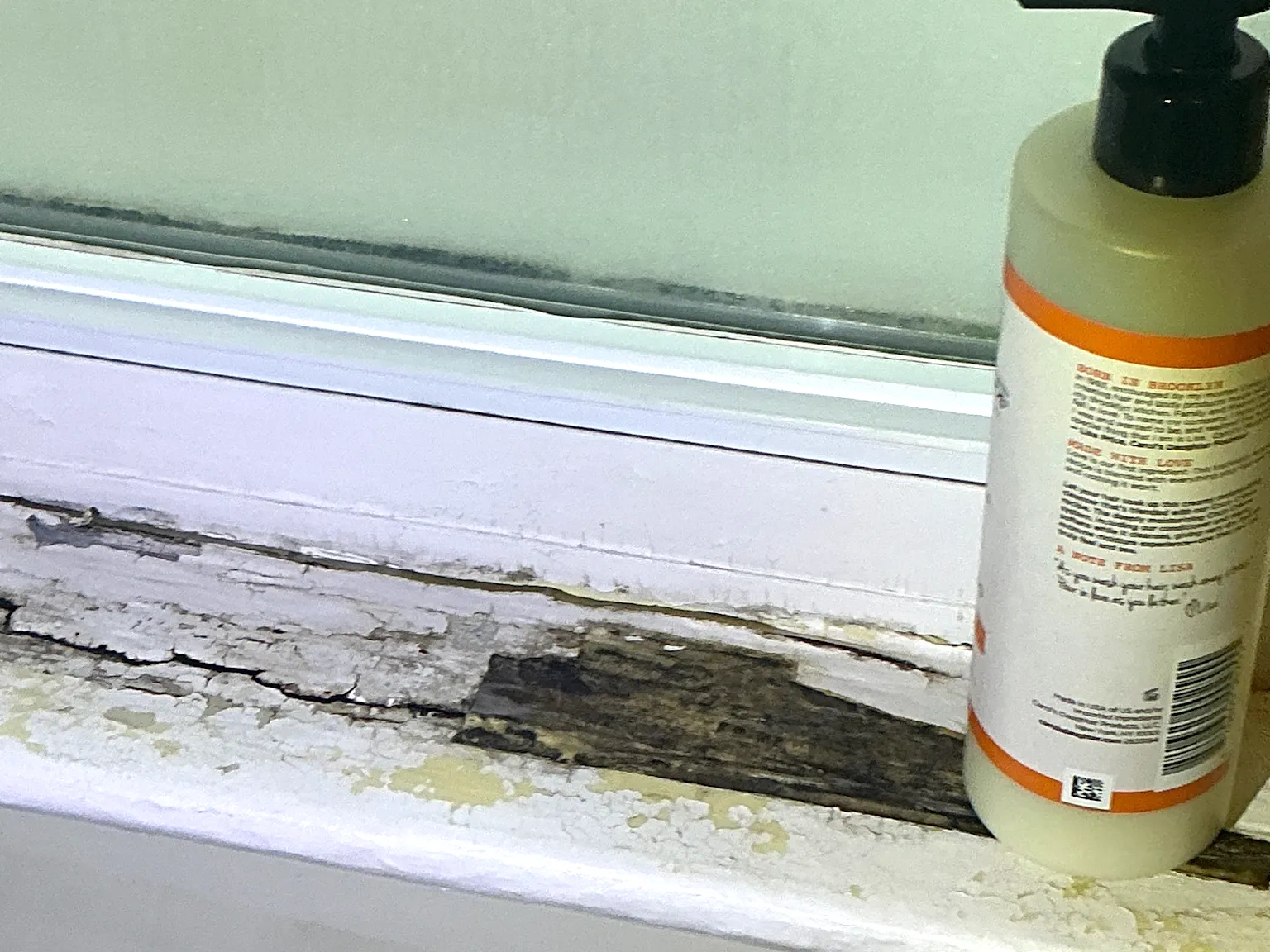Look at what our mold inspector found in Kent..