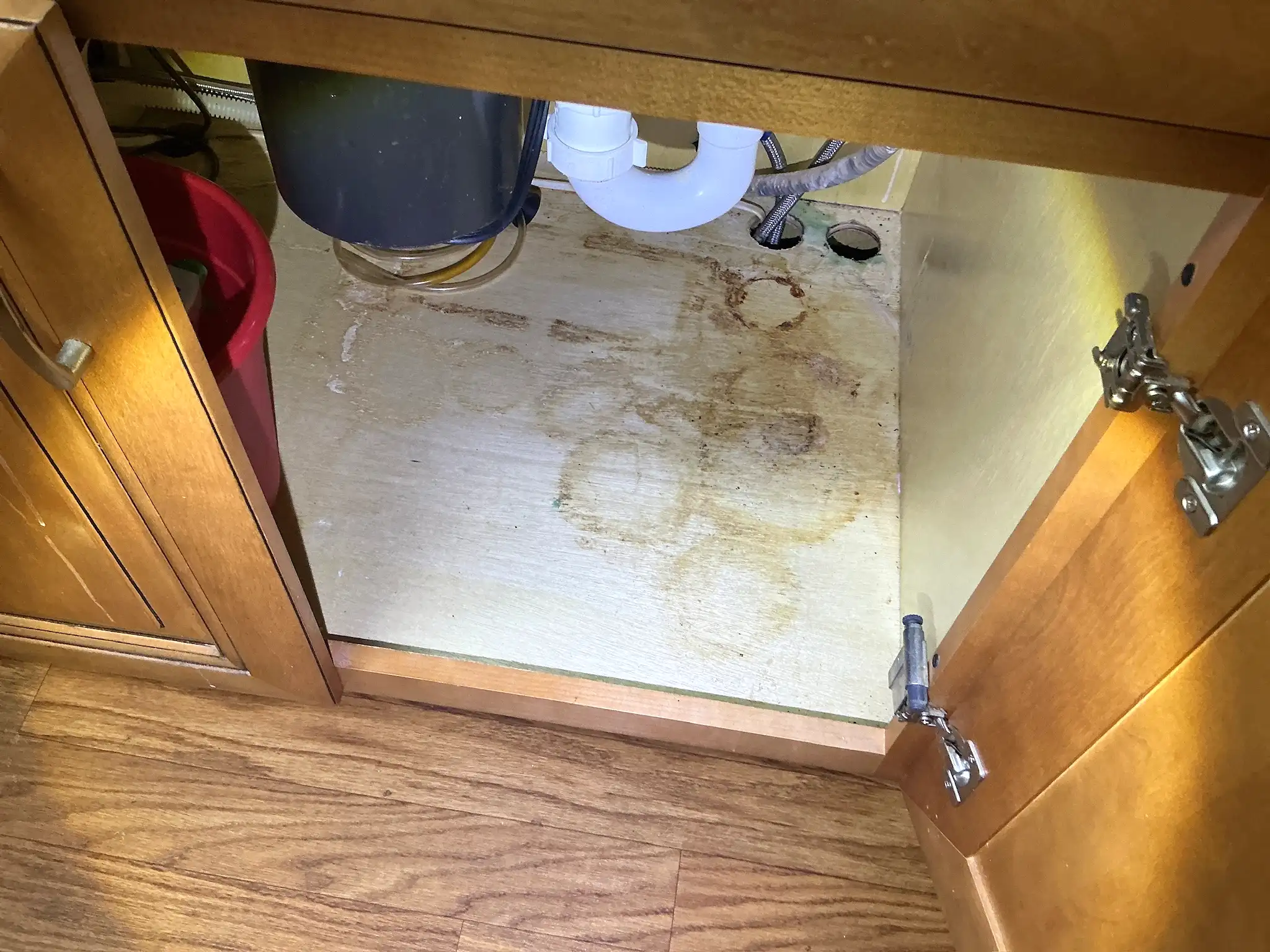 Mold found during a commercial mold inspection in Kent.