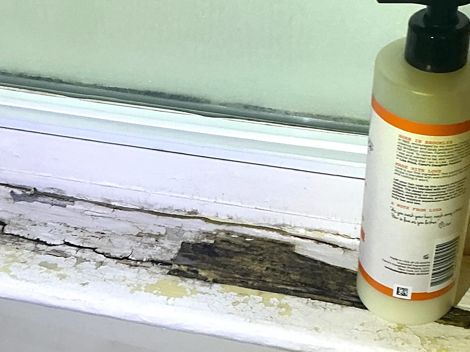 Look at what our mold inspector found in Kirtland..