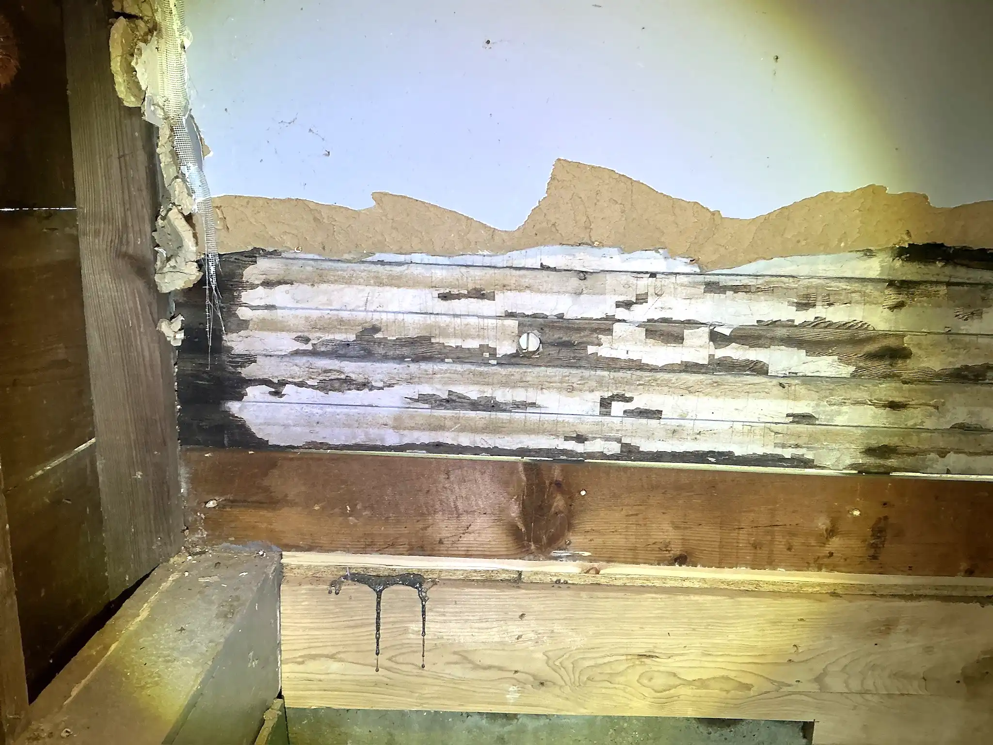 Mold found during a commercial mold inspection in Kirtland.