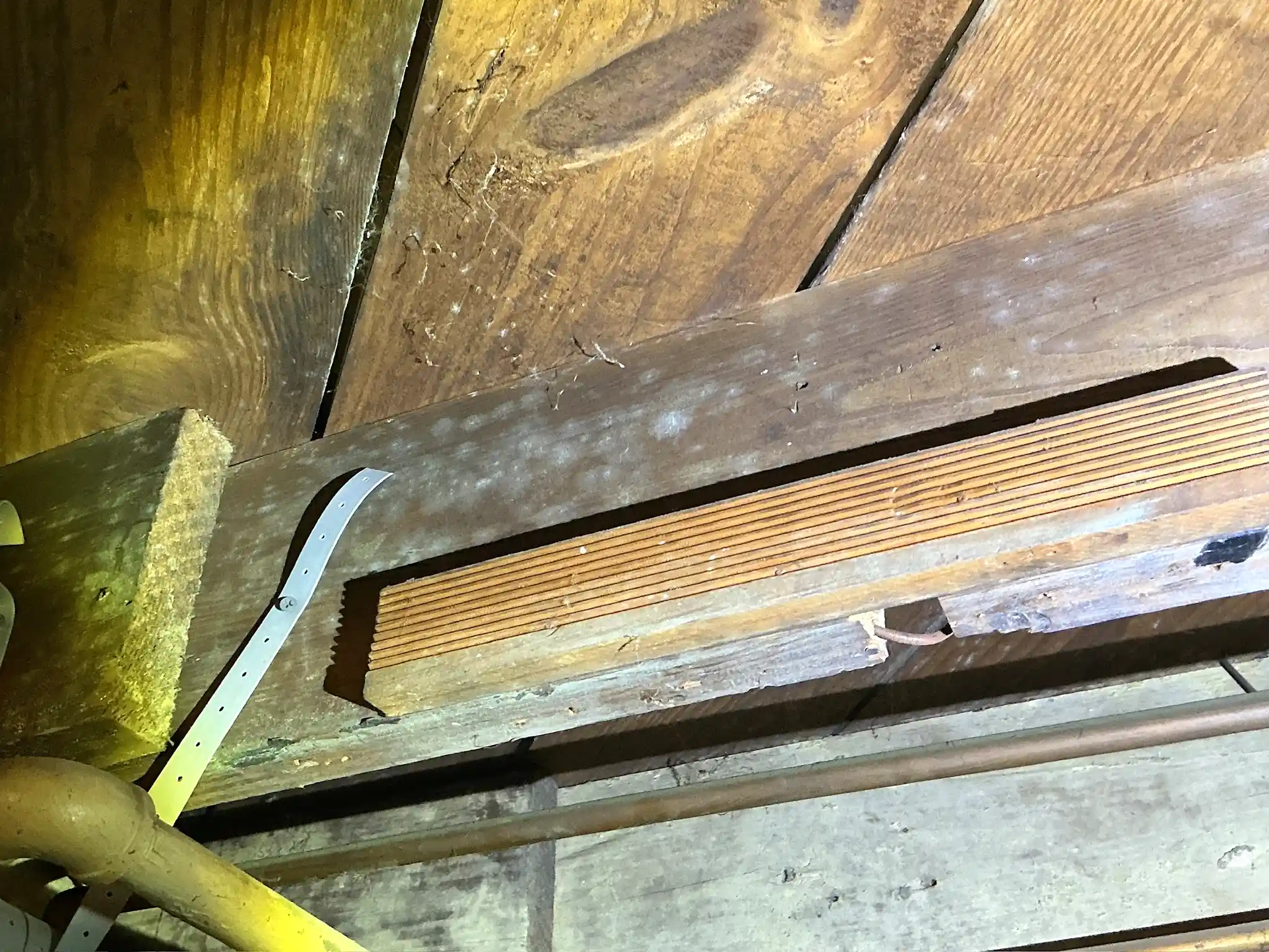 Mold inspection in Lakemore.