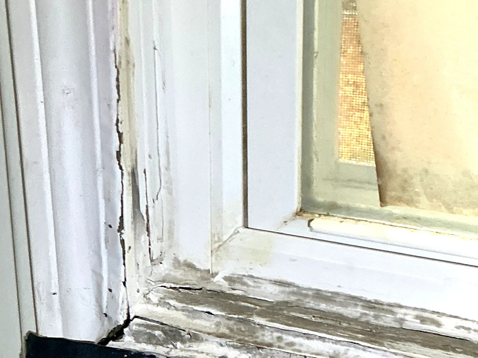 Our mold inspector found this surface mold in Lakemore.