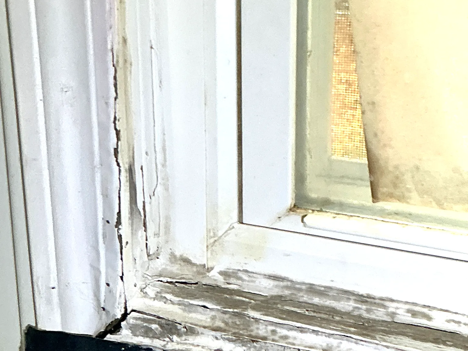 Mold found during a home inspection in Lakemore.