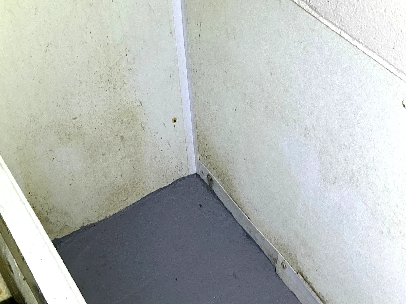 Mold found during a commercial mold inspection in Lakewood.