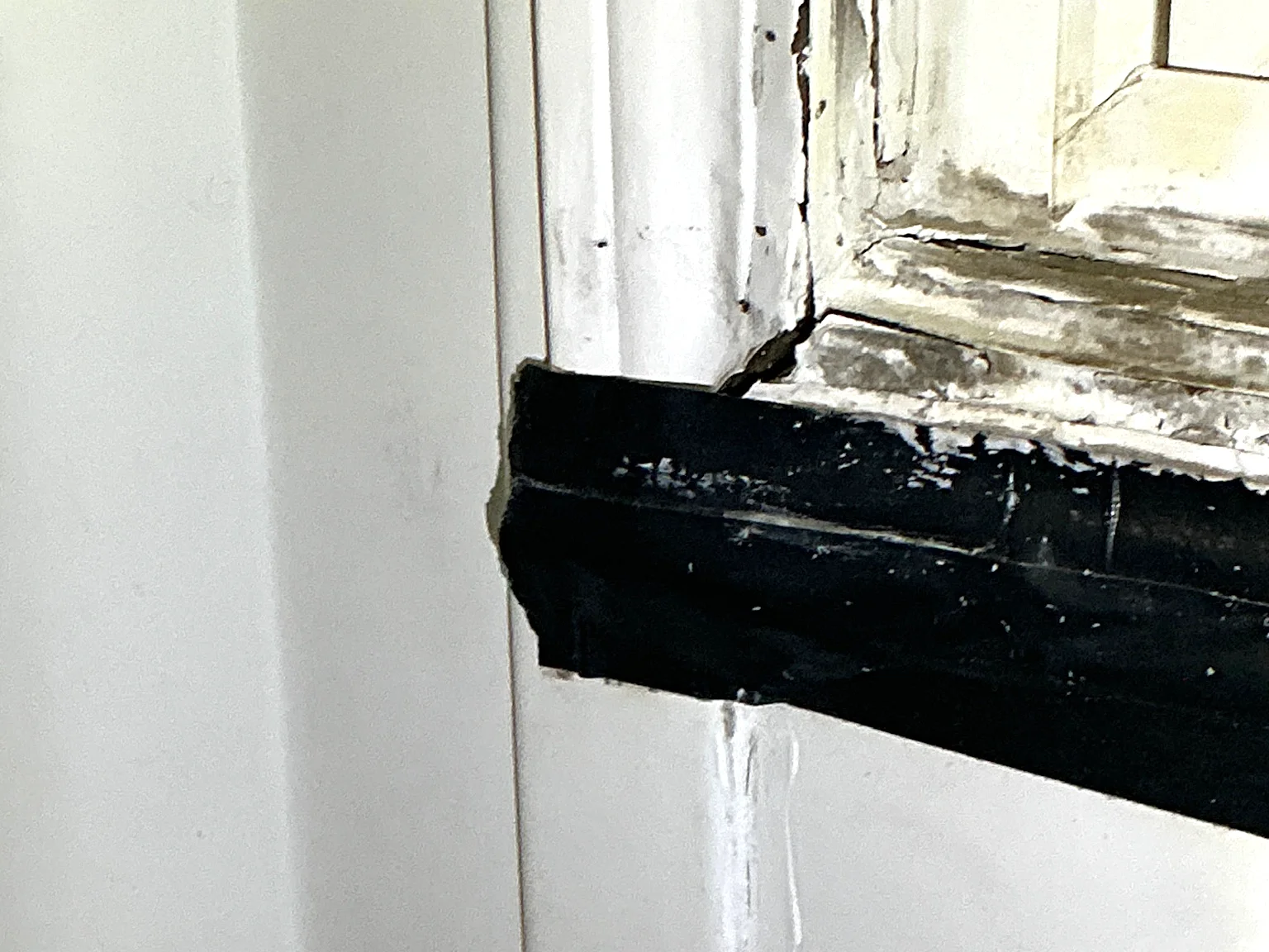 Look at what our mold inspector found in Lexington..