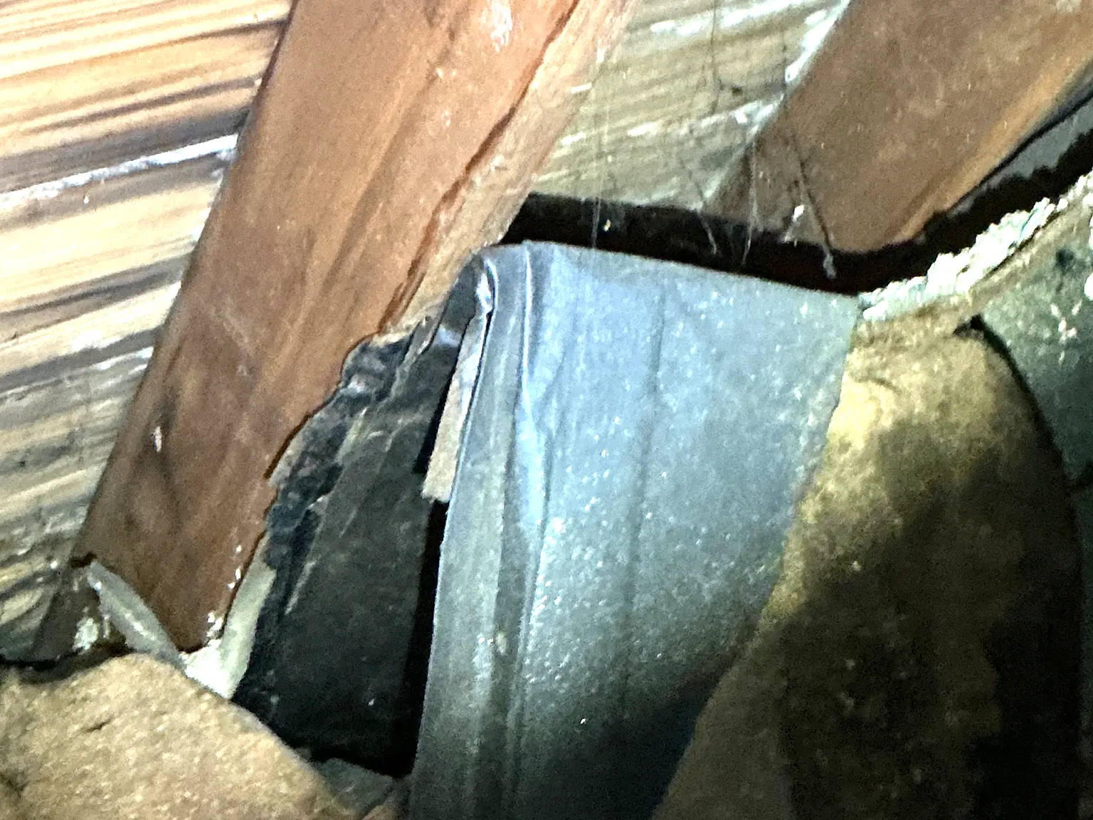 Mold inspection in Lexington.