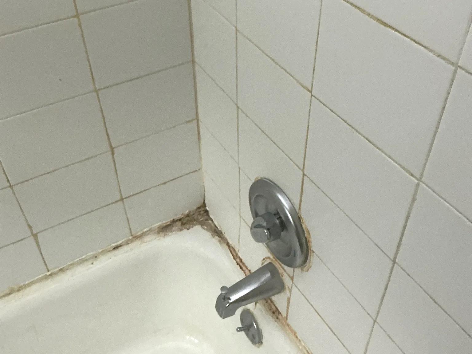 Our mold inspector found this surface mold in Lexington.