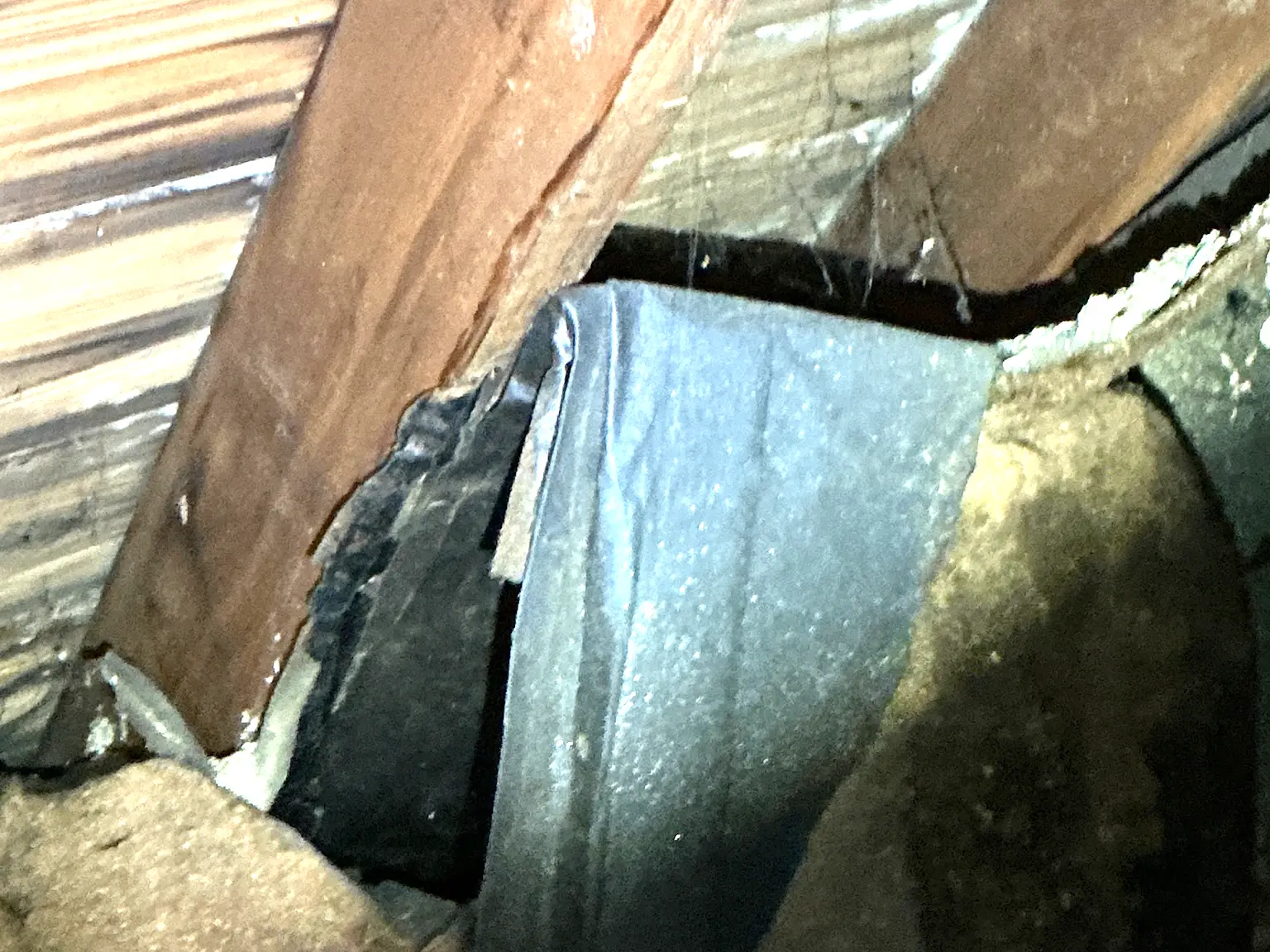 Mold found during a commercial mold inspection in Lexington.