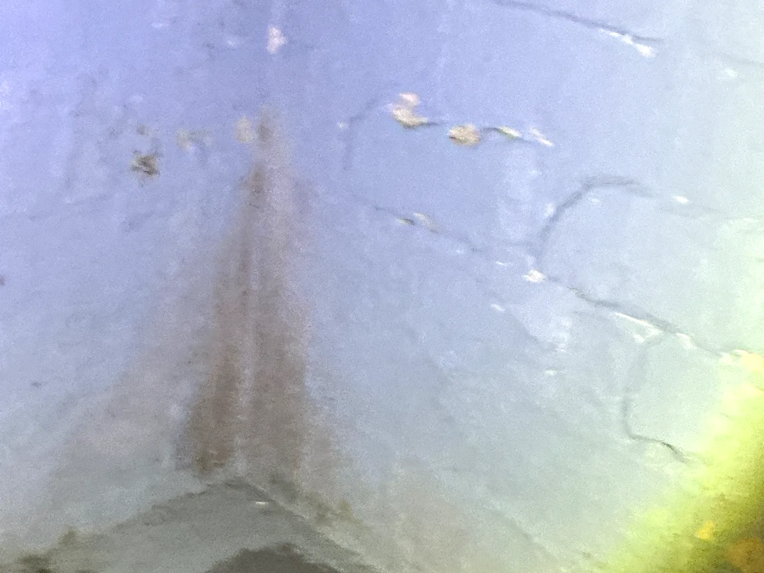 Mold found during a home inspection in Lodi.