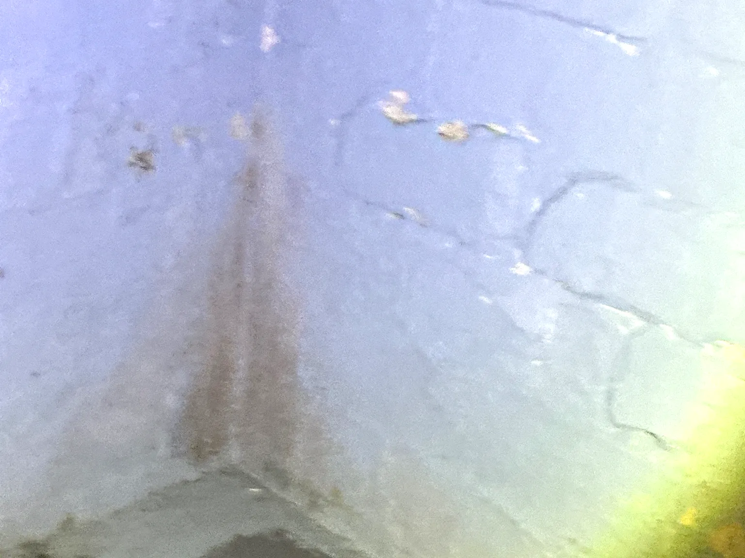 Mold found during a commercial mold inspection in Lodi.