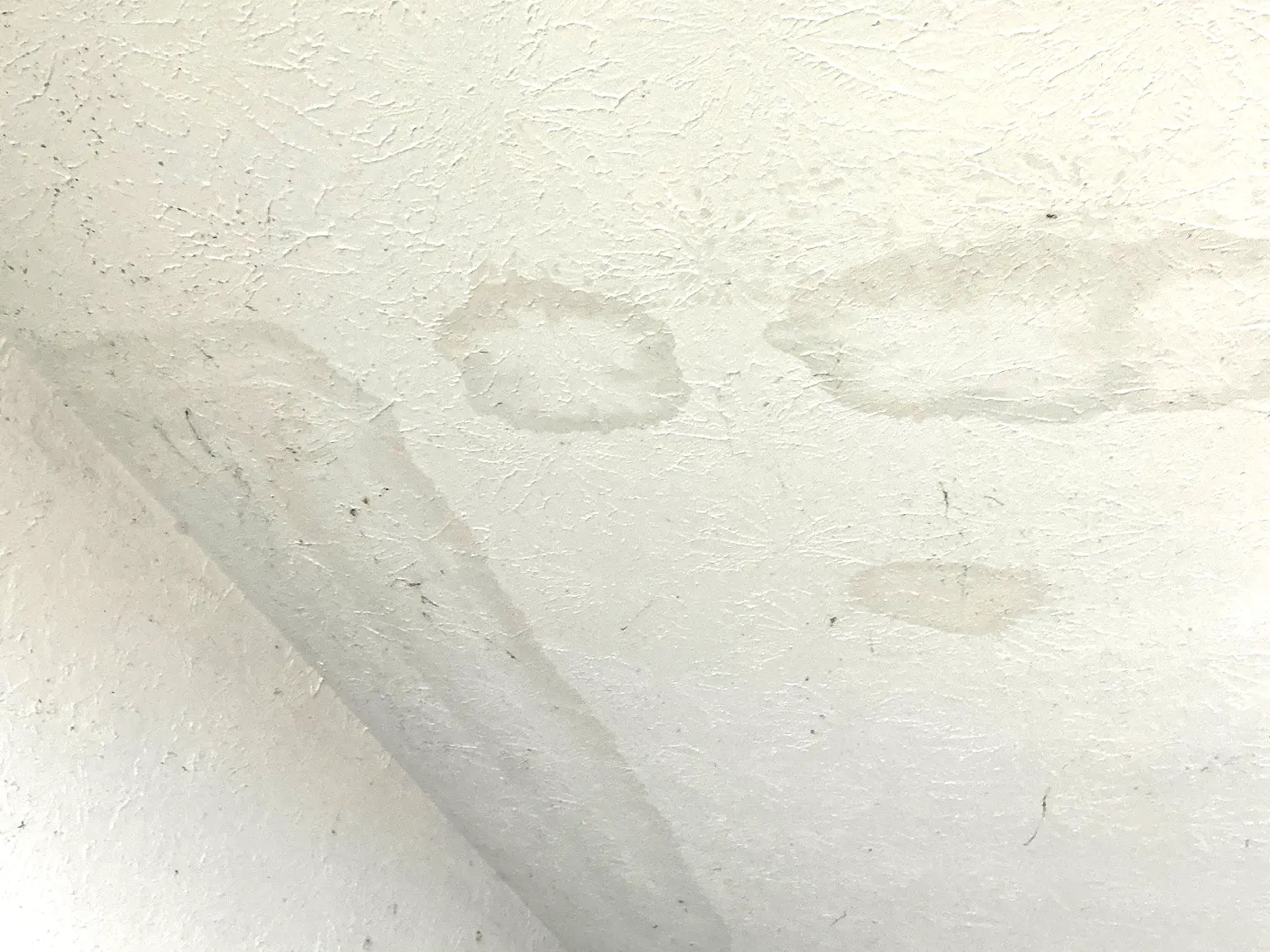 Look at what our mold inspector found in Lordstown..