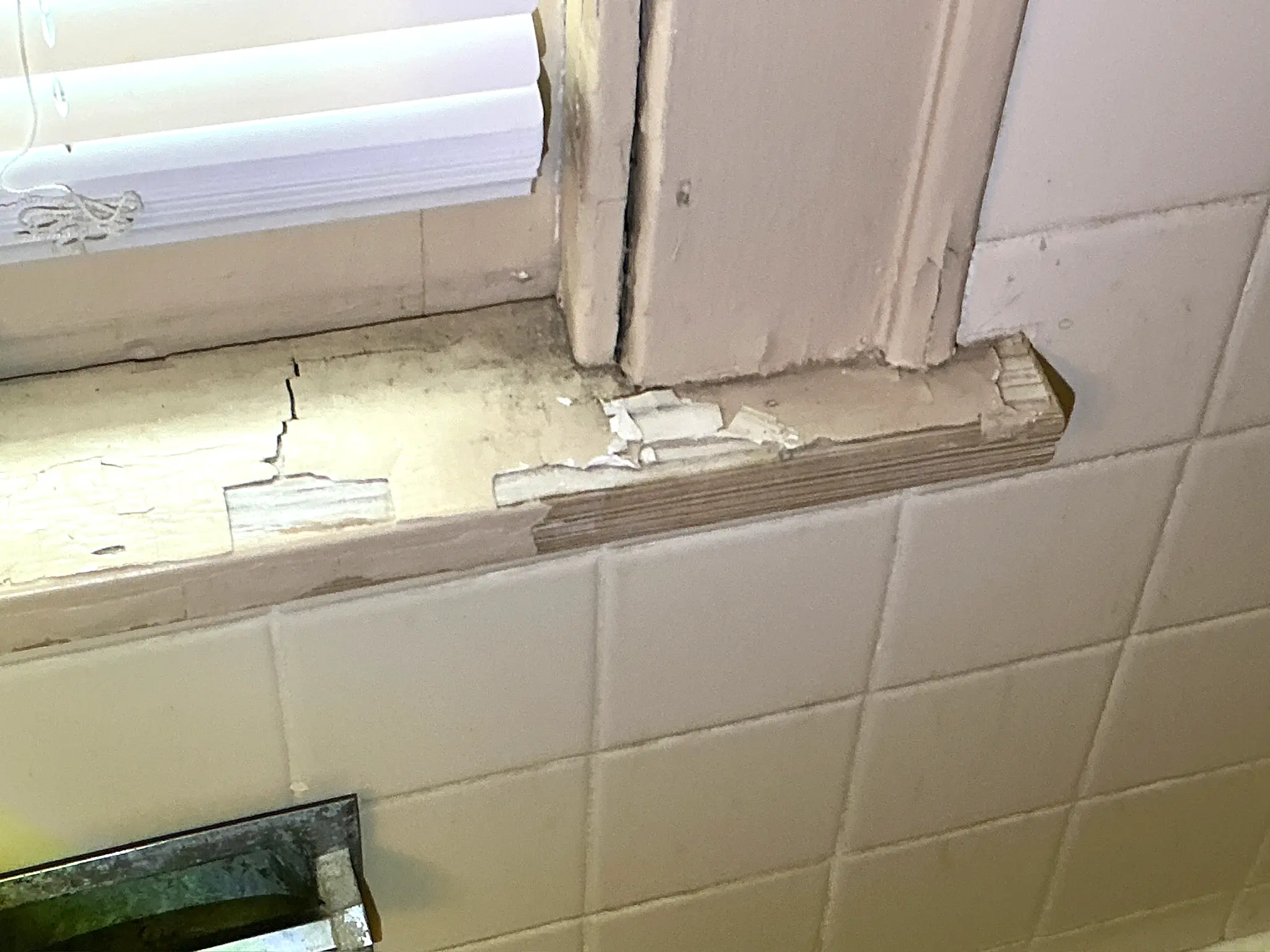 Mold found on a surface during an inspection in Lordstown.