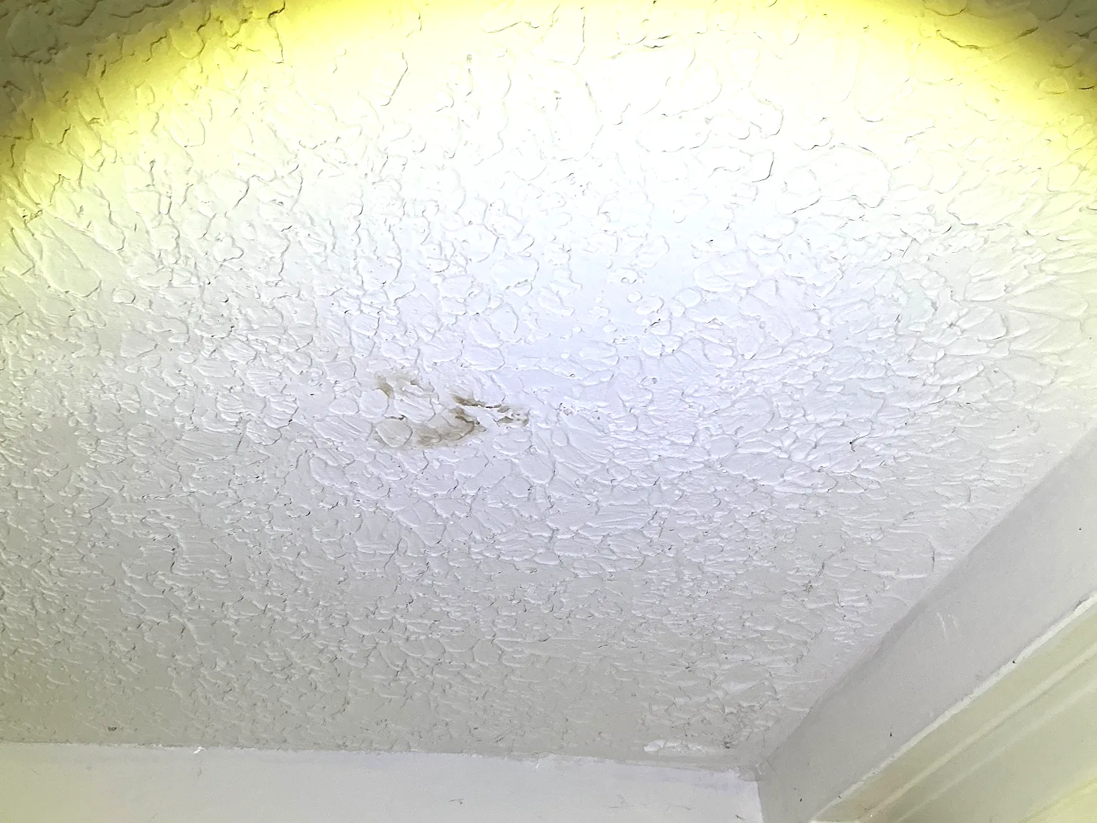 Mold inspection in Lordstown.