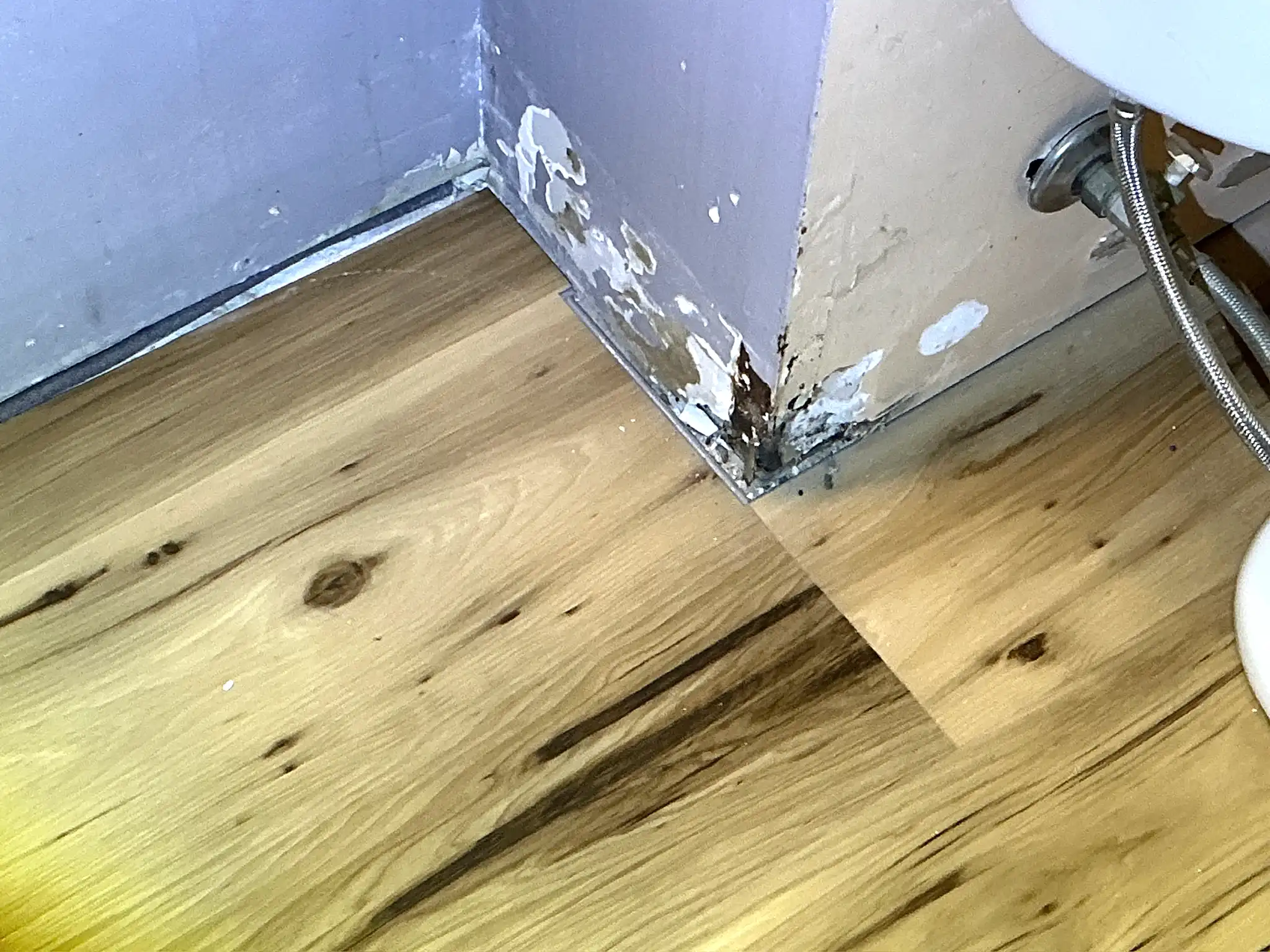 Look at what our mold inspector found in Louisville..