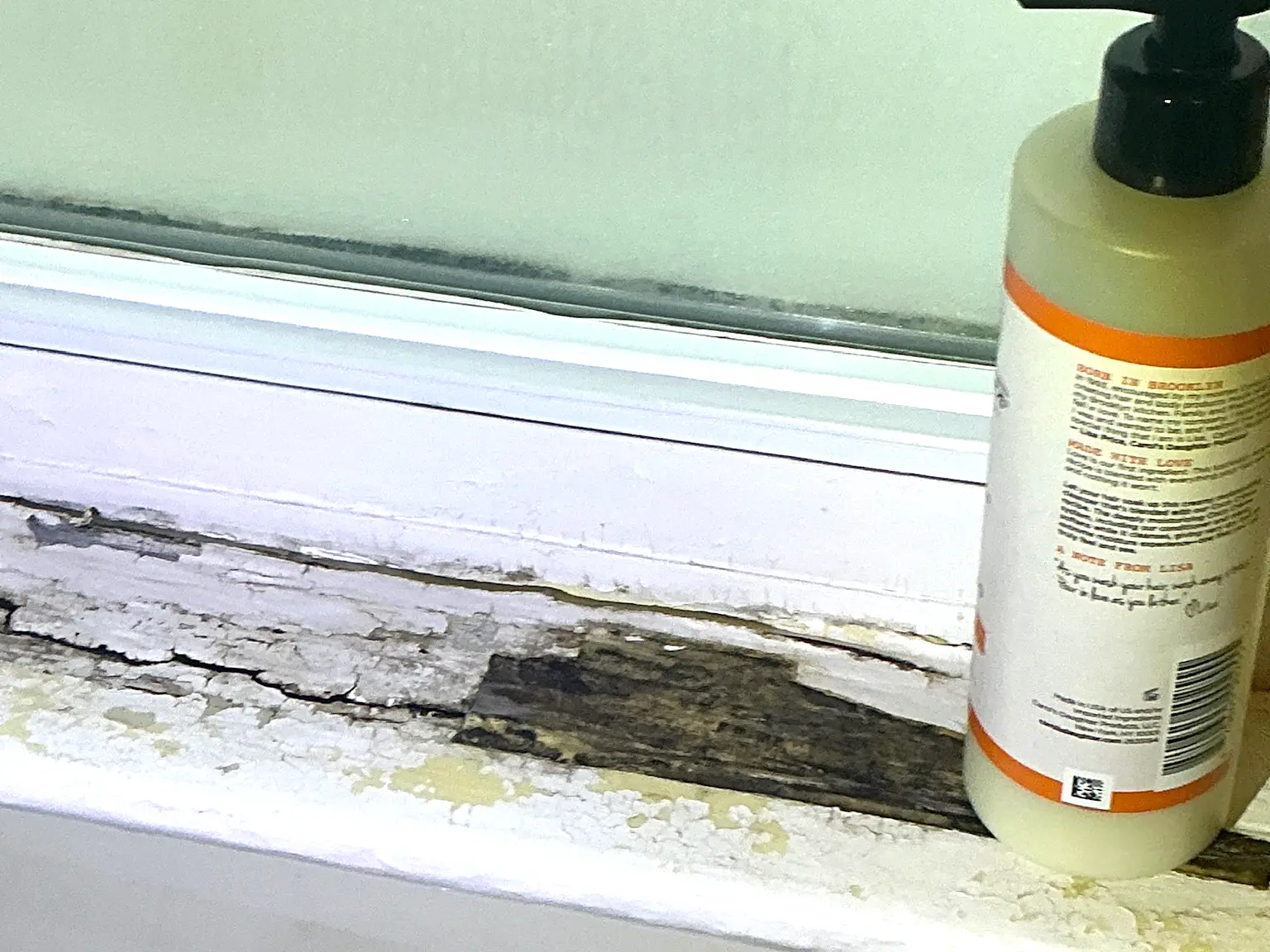 Mold found on a surface during an inspection in Louisville.
