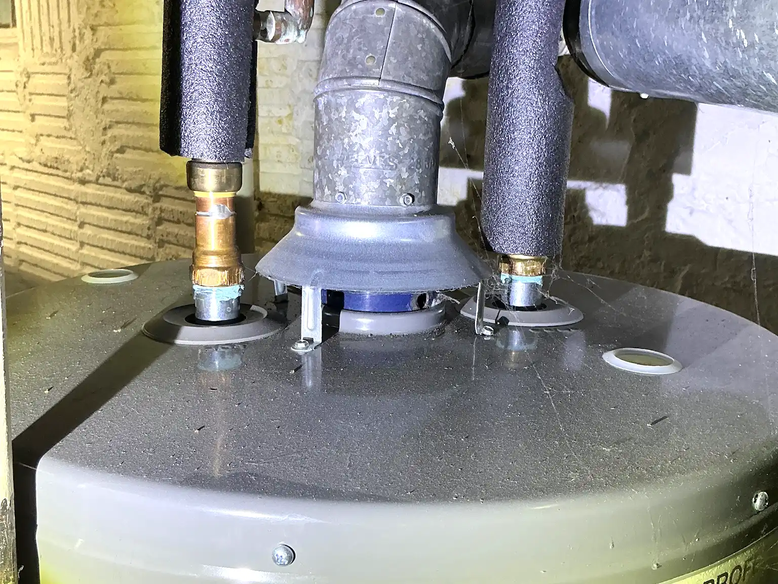 Mold found during a commercial mold inspection in Louisville.