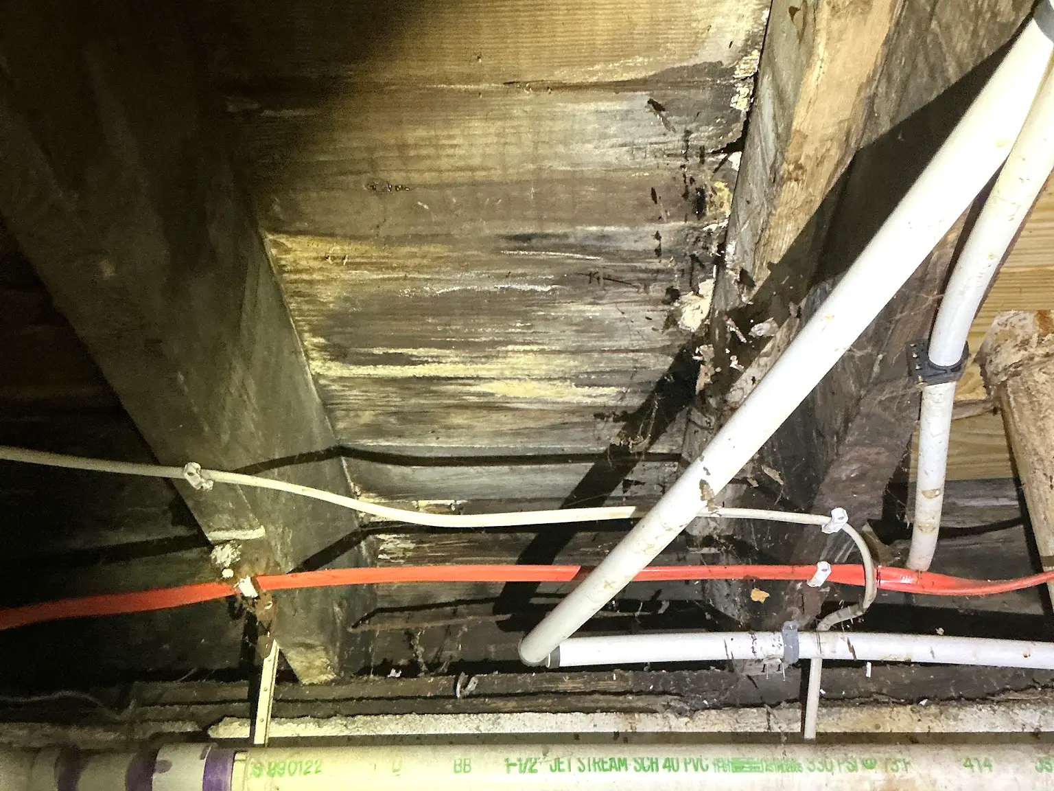 Mold inspection in Lyndhurst.