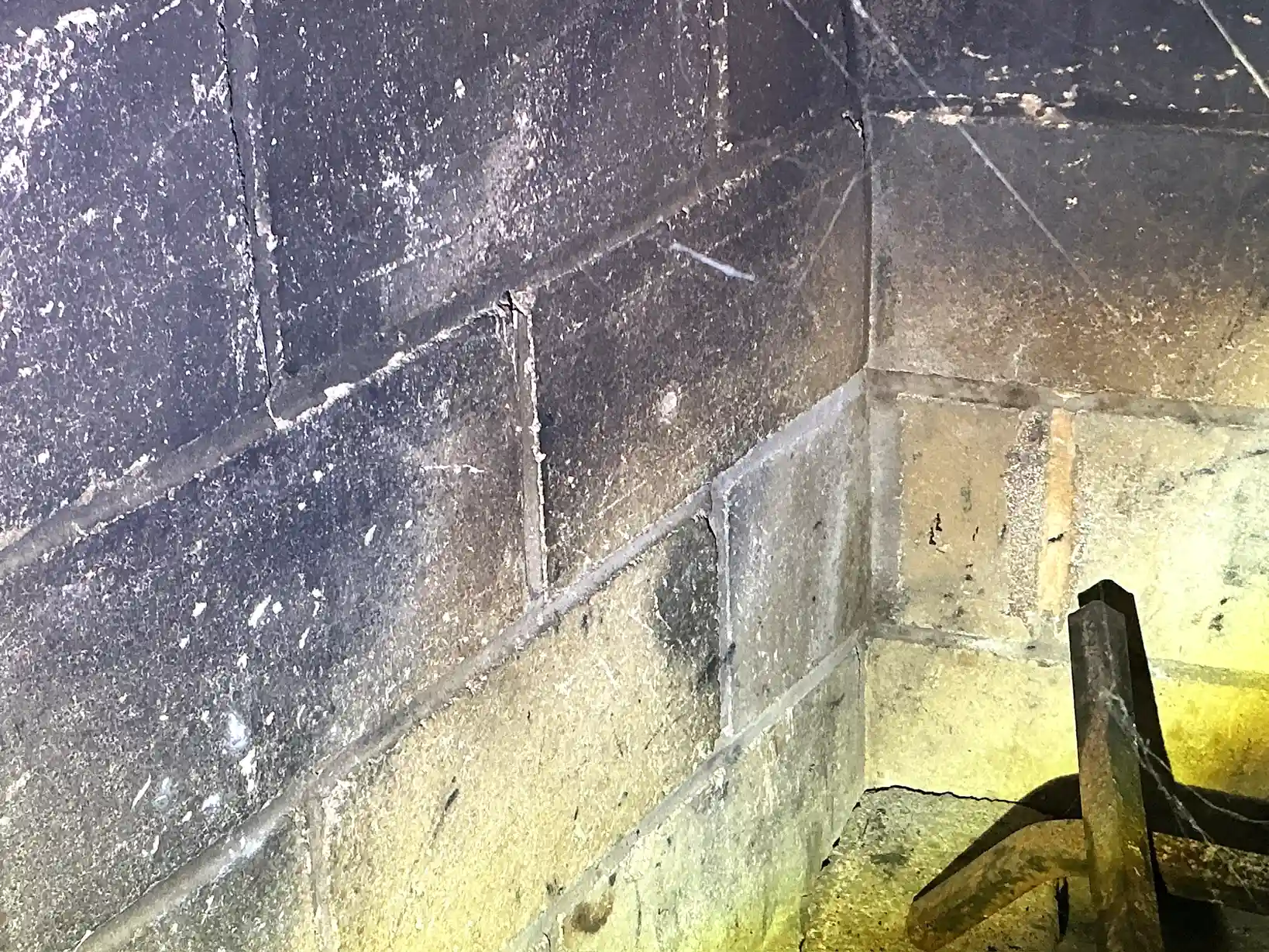 Mold found during a home inspection in Lyndhurst.