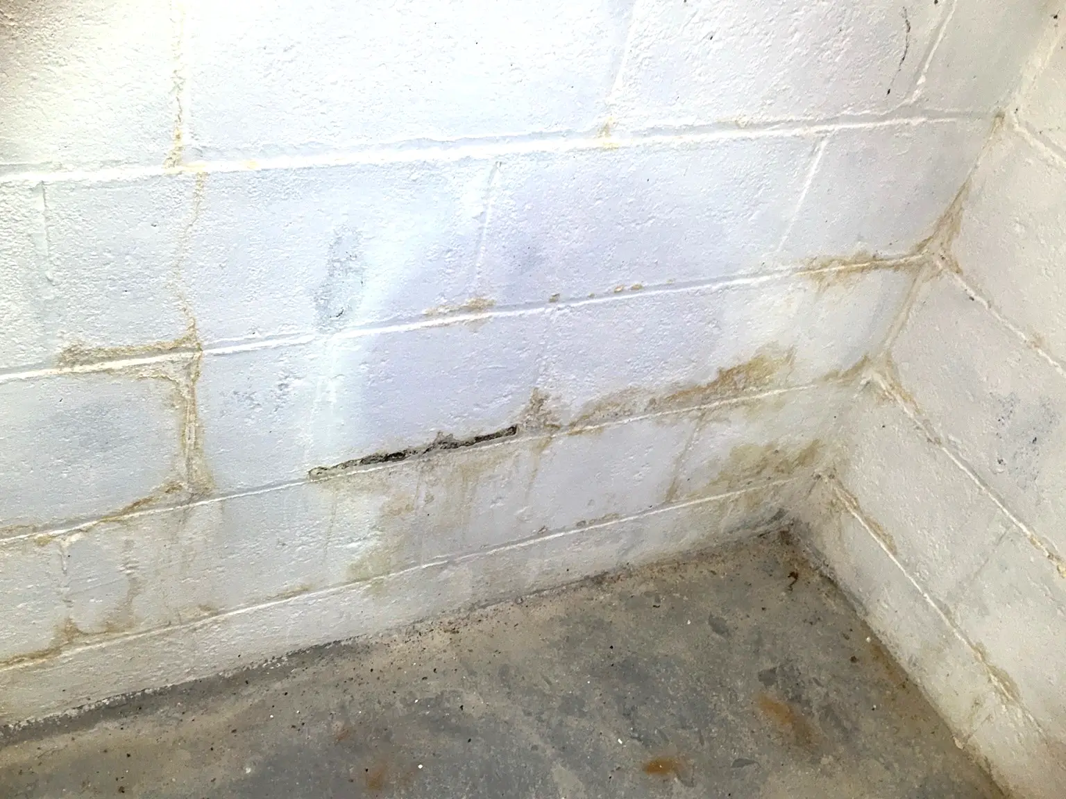 Mold found on a surface during an inspection in Macedonia.
