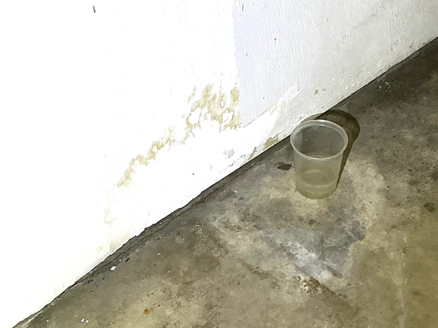 Mold inspection in Macedonia.