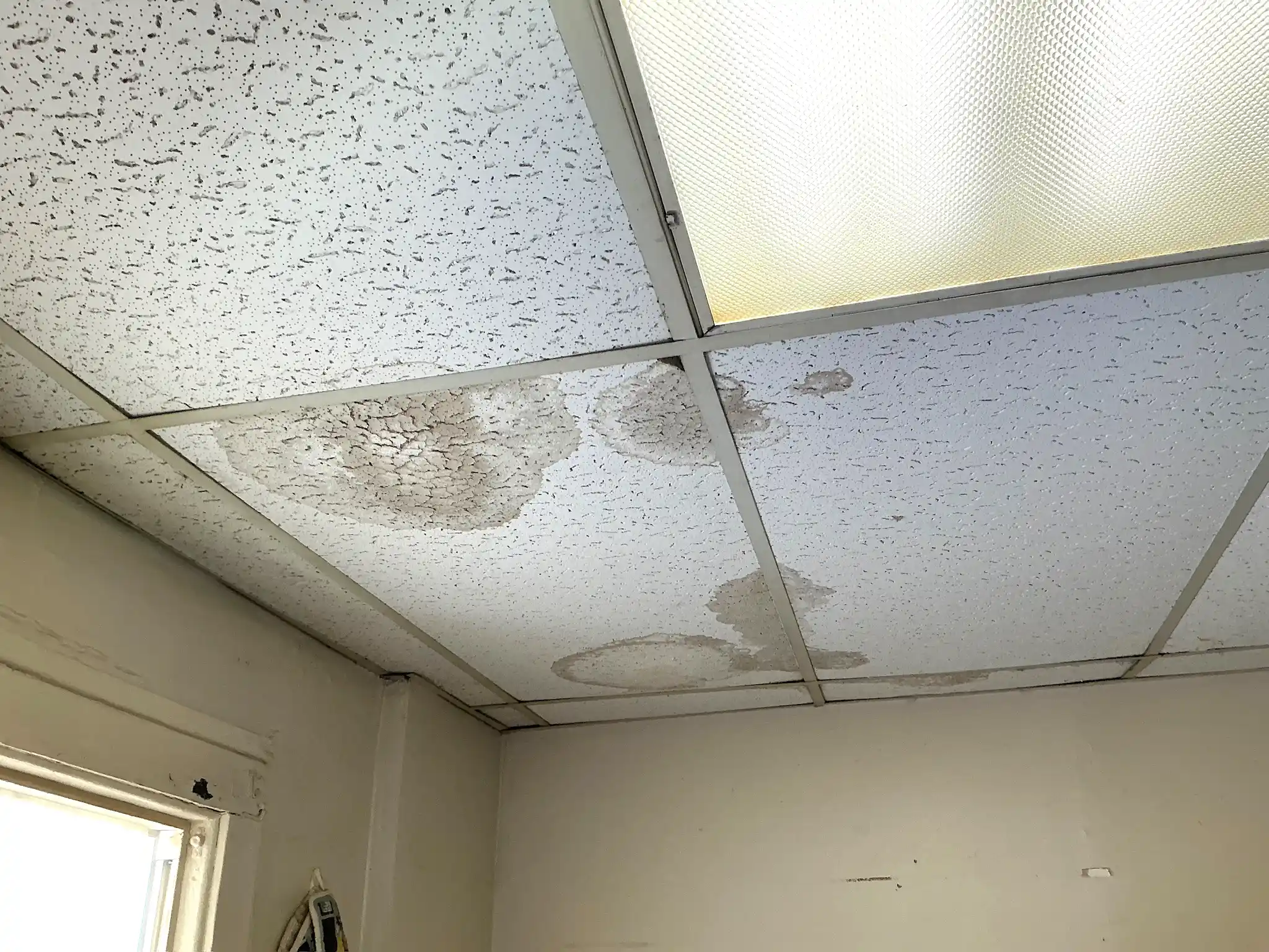 Our mold inspector found this surface mold in Macedonia.