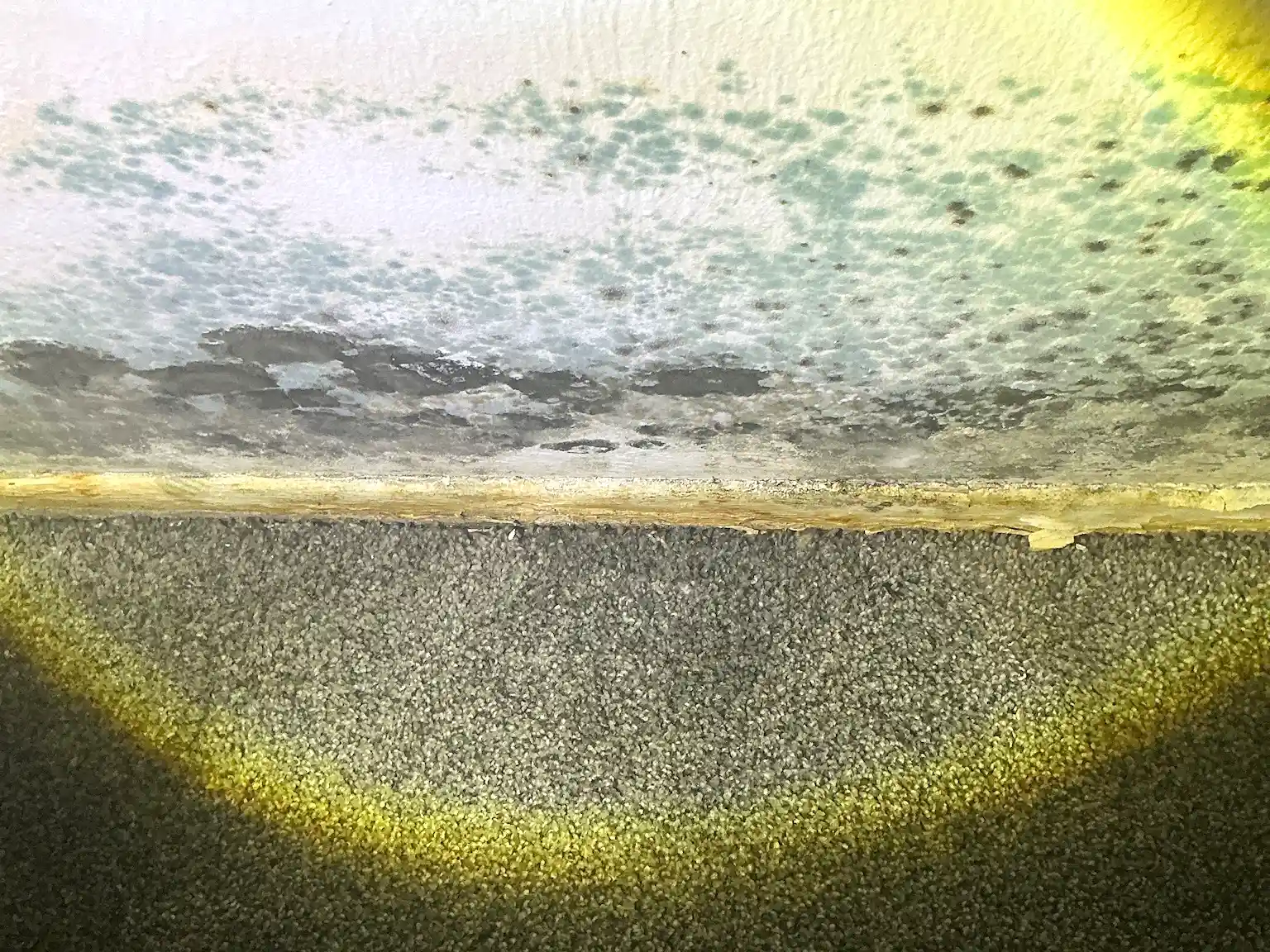 Mold found during a home inspection in Macedonia.