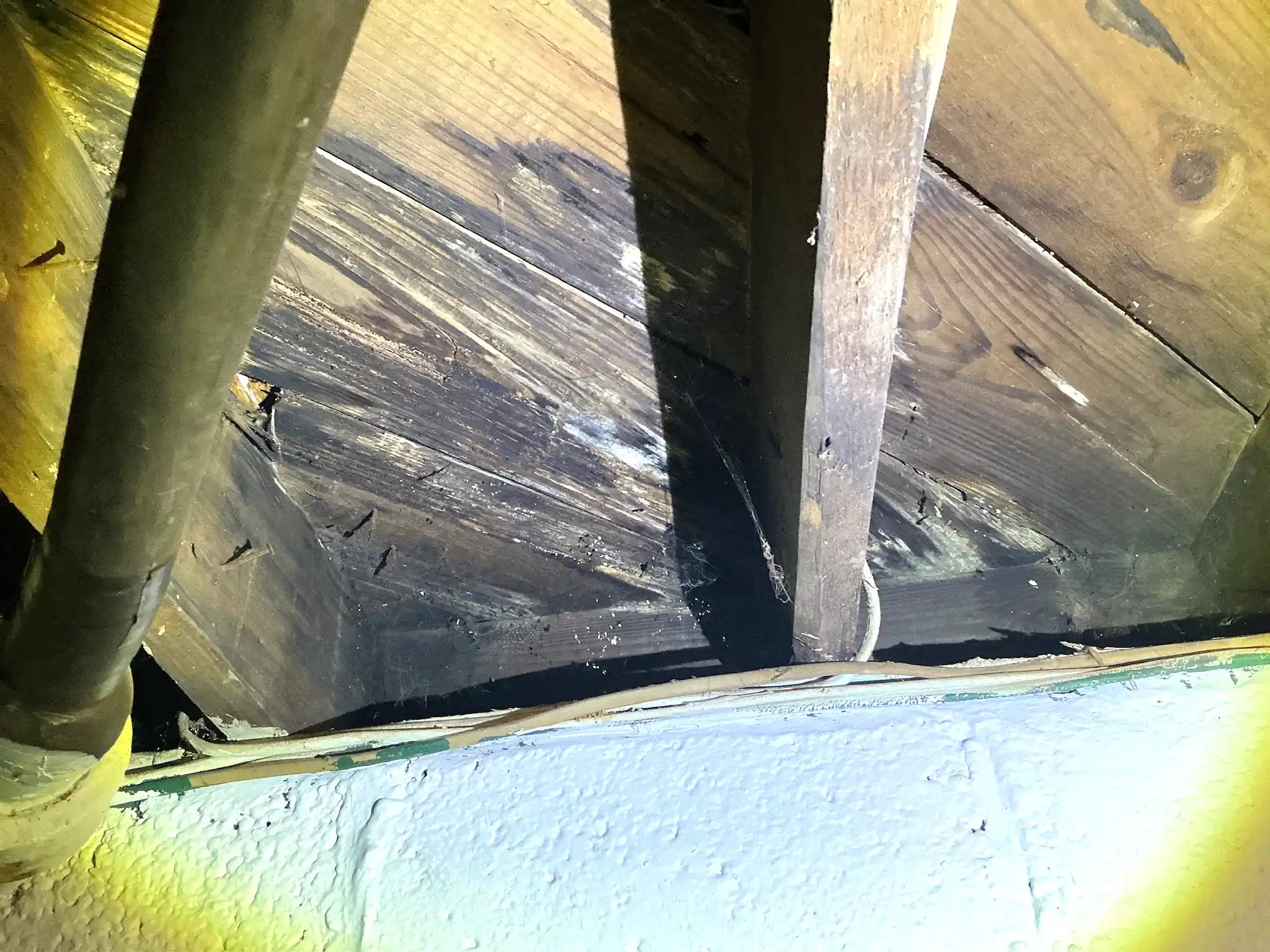 Mold found during a commercial mold inspection in Macedonia.