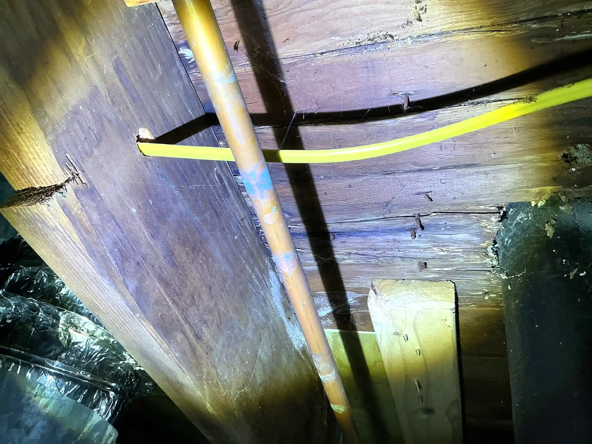 Mold found on a surface during an inspection in Madison.