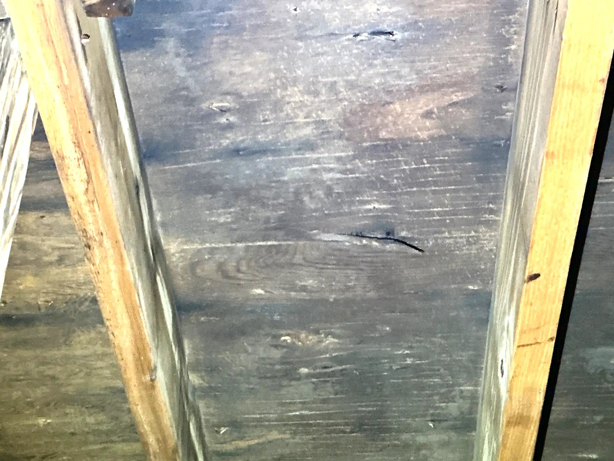 Mold found during a home inspection in Madison.