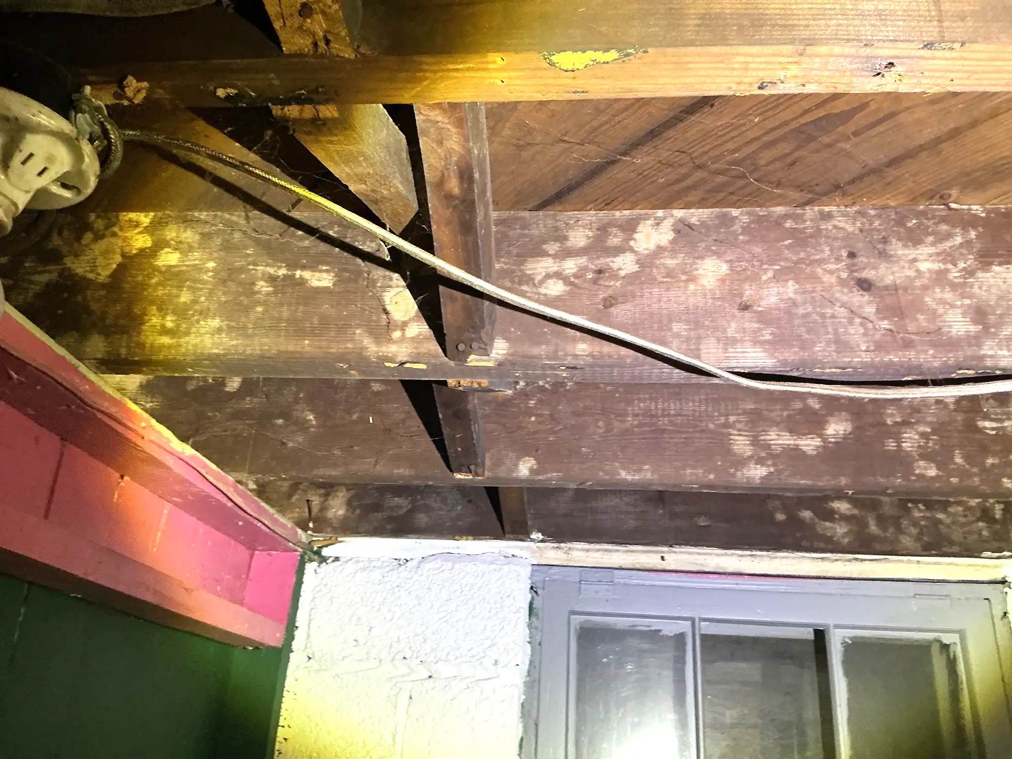 Look at what our mold inspector found in Maple Heights..
