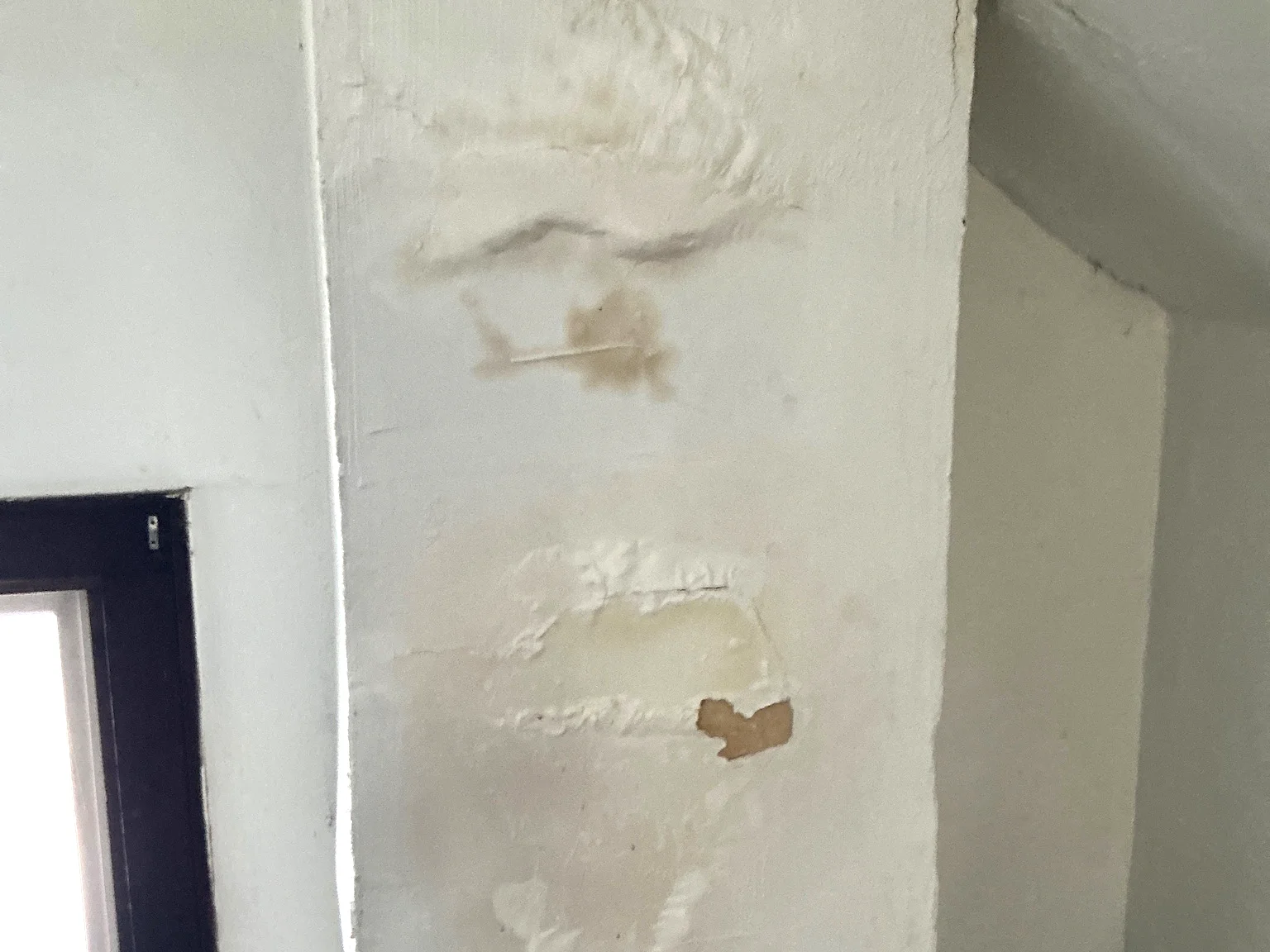 Our mold inspector found this surface mold in Maple Heights.