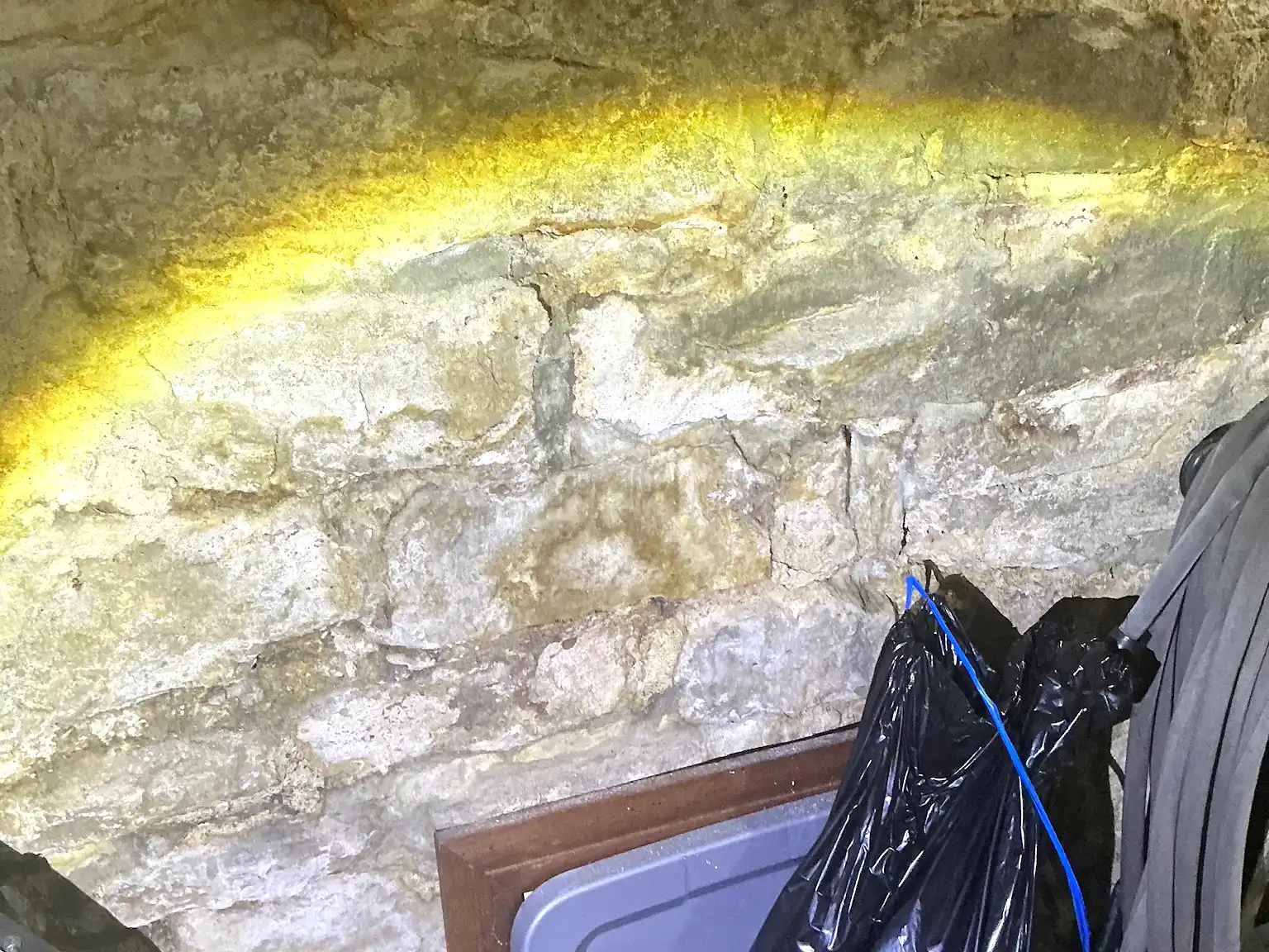 Look at what our mold inspector found in Massillon..