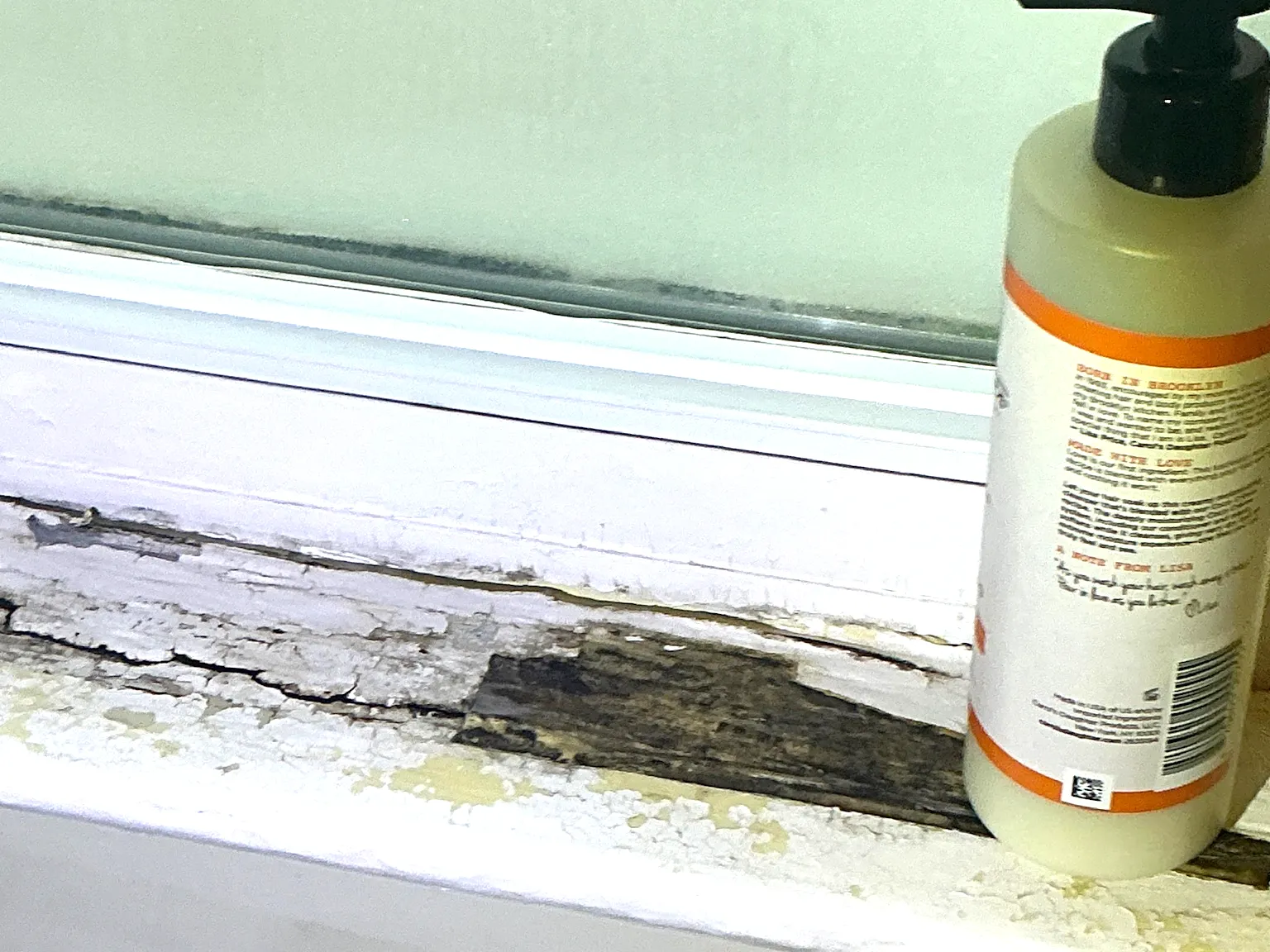 Mold found during a home inspection in Massillon.