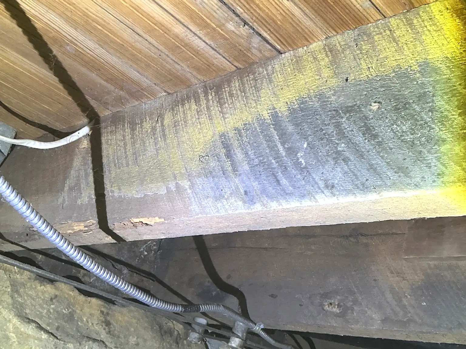 Look at what our mold inspector found in Mayfield Heights..