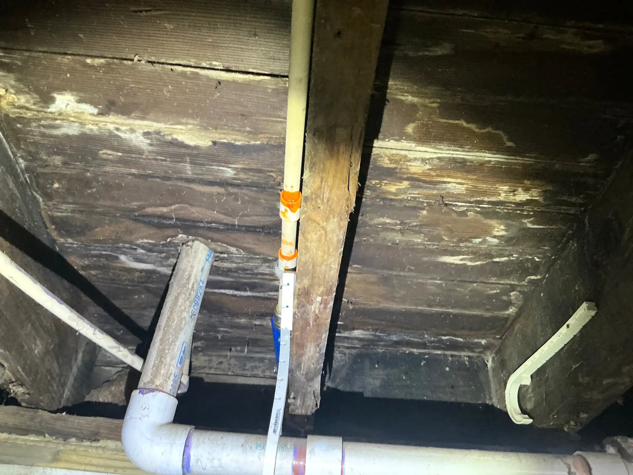 Mold inspection in Mayfield Heights.